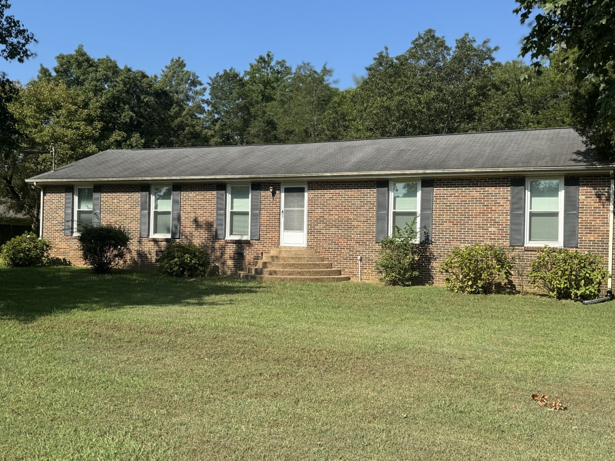 Photo of Listing #2981081