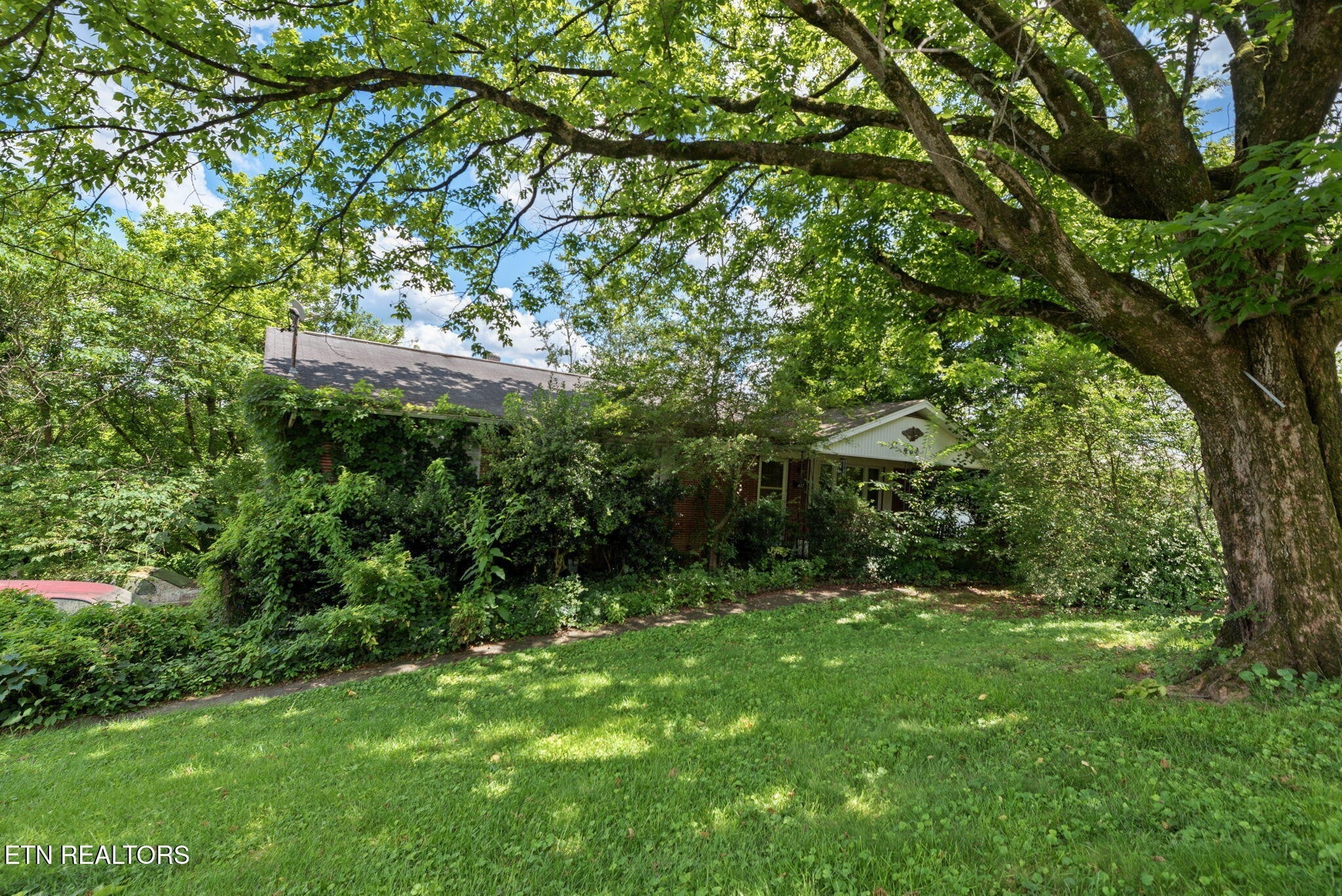 Photo of Listing #2986612