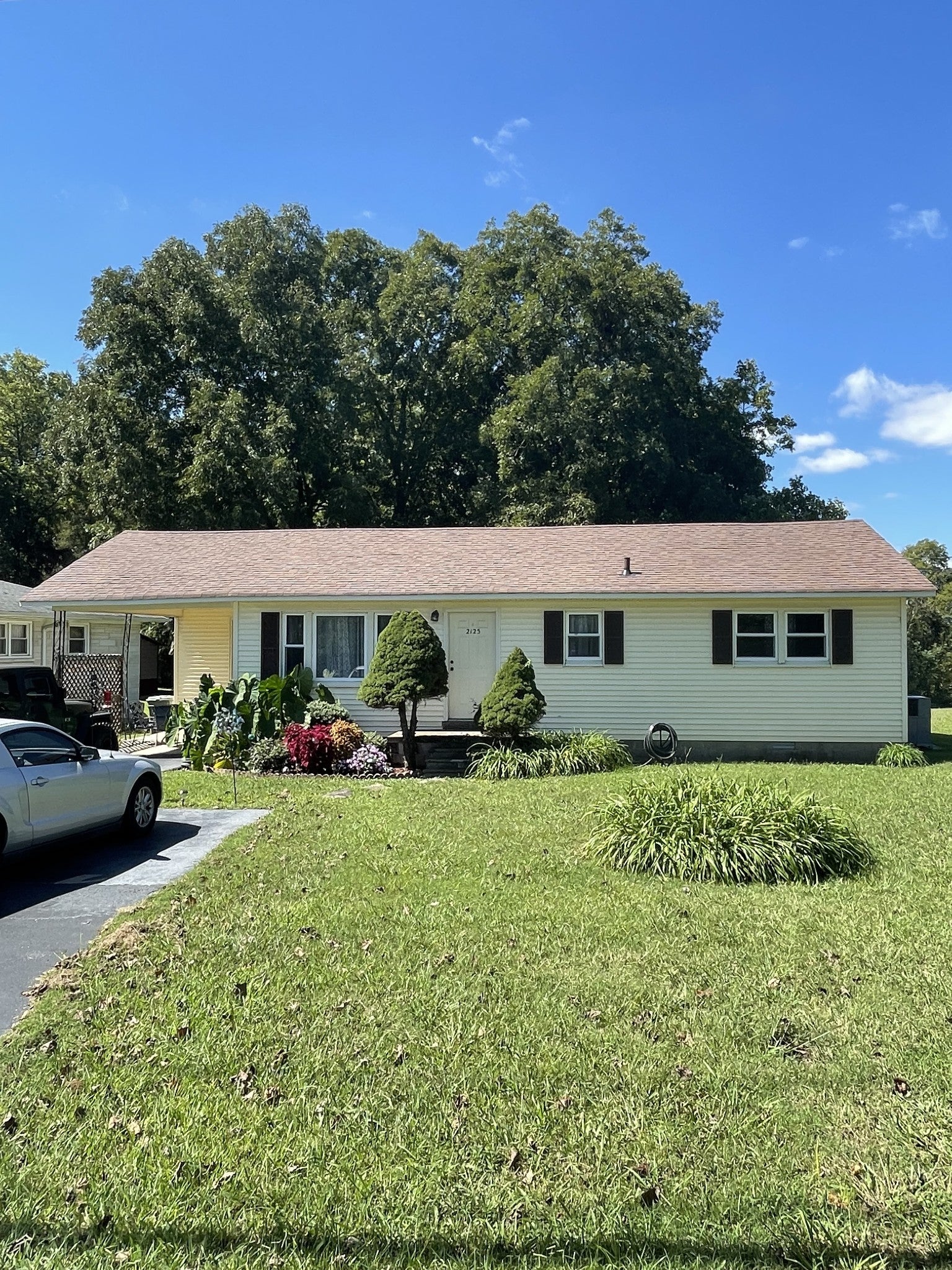 Photo of Listing #2991504