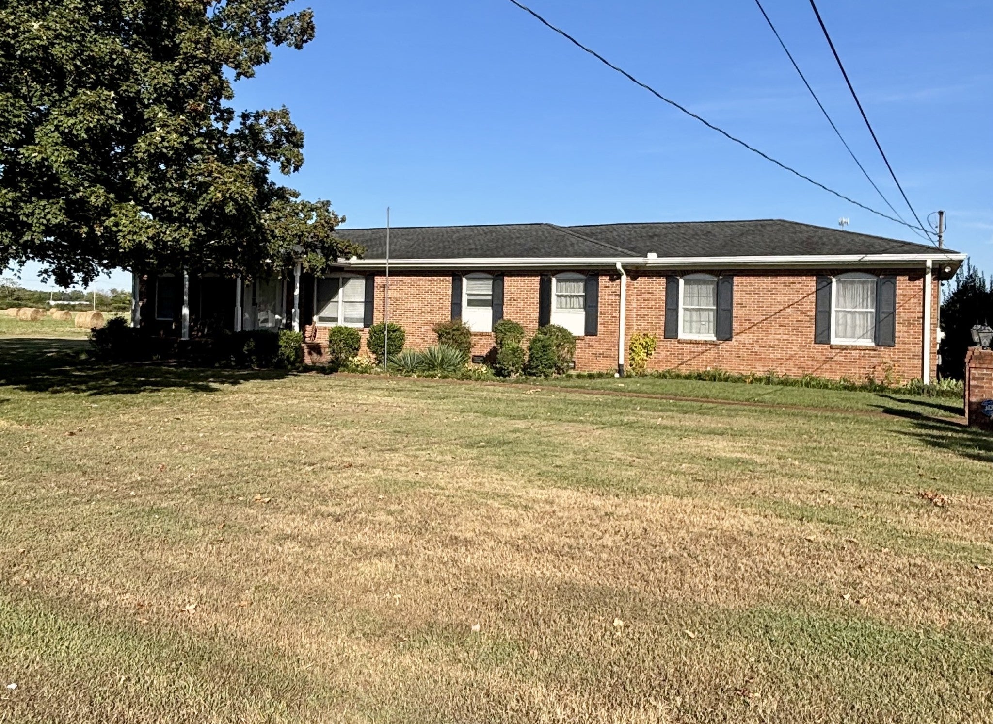 Photo of Listing #2991655