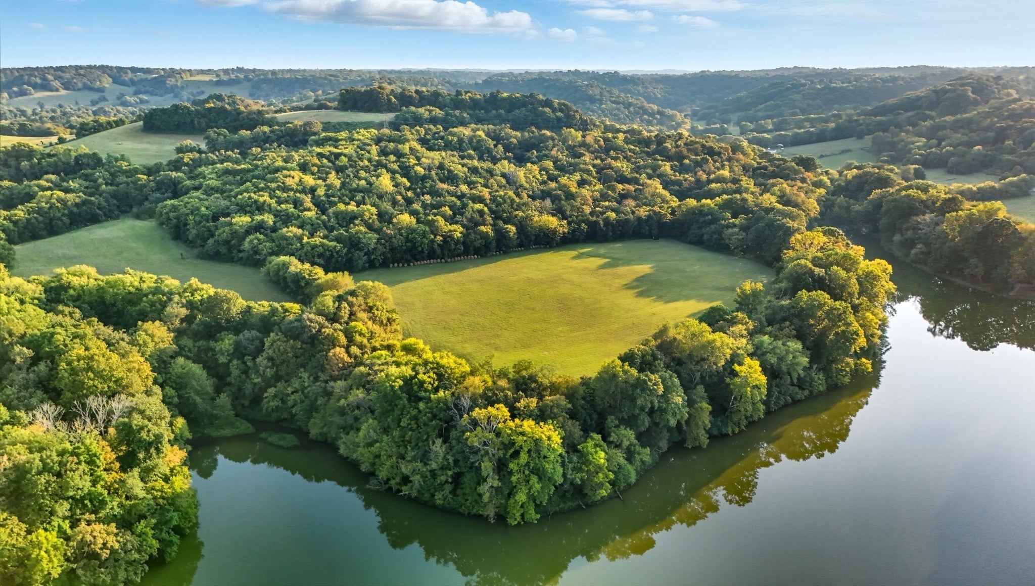 Photo of Listing #2993976