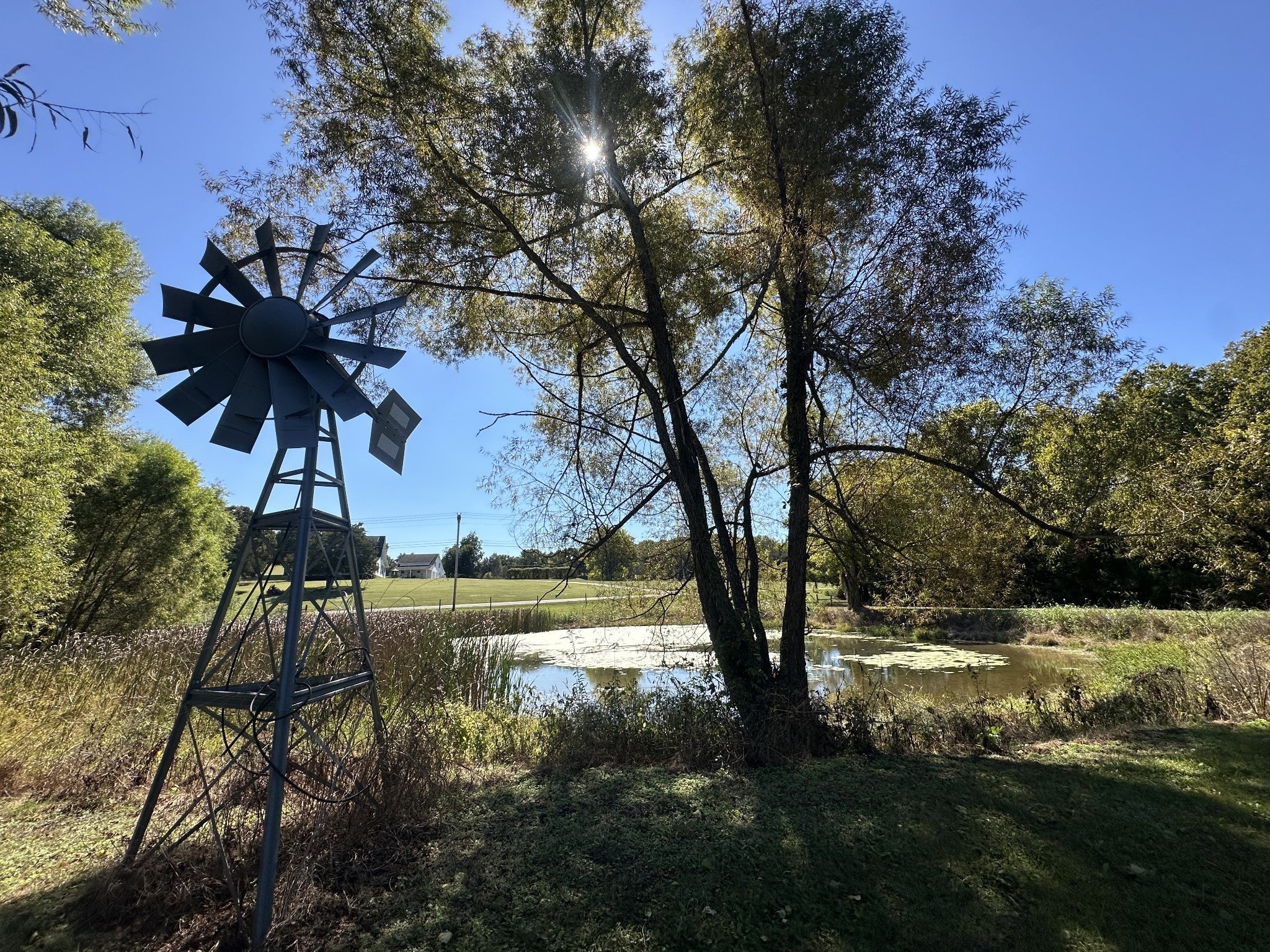 Photo of Listing #2996559