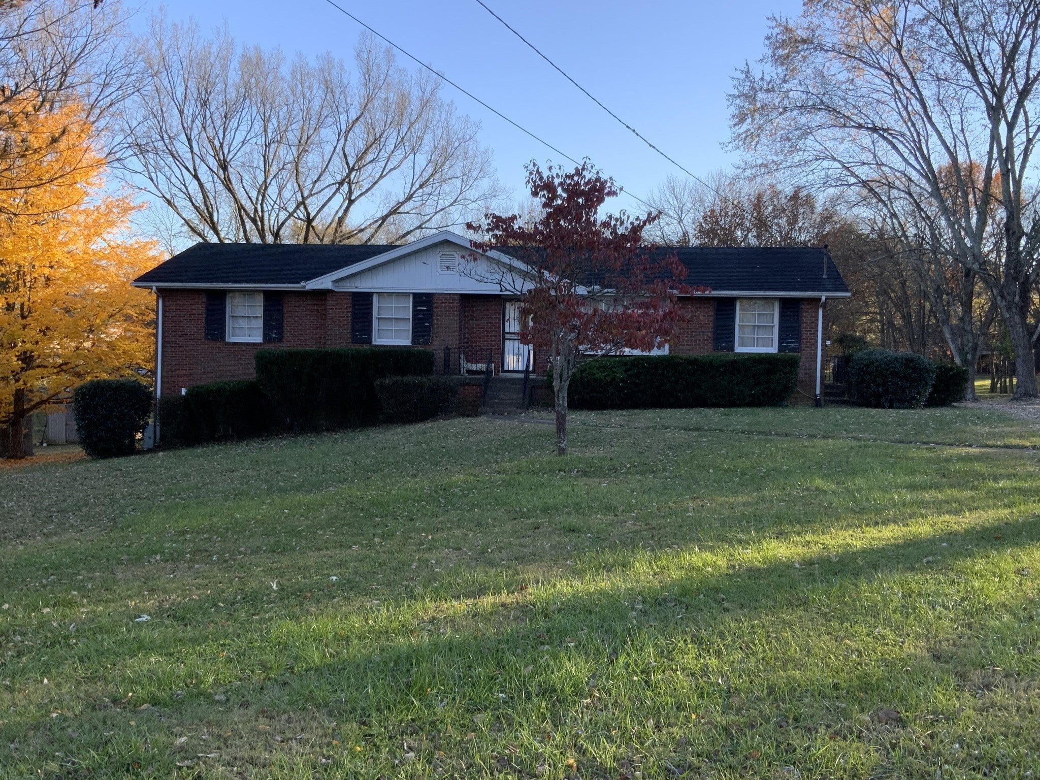 Photo of Listing #2998696
