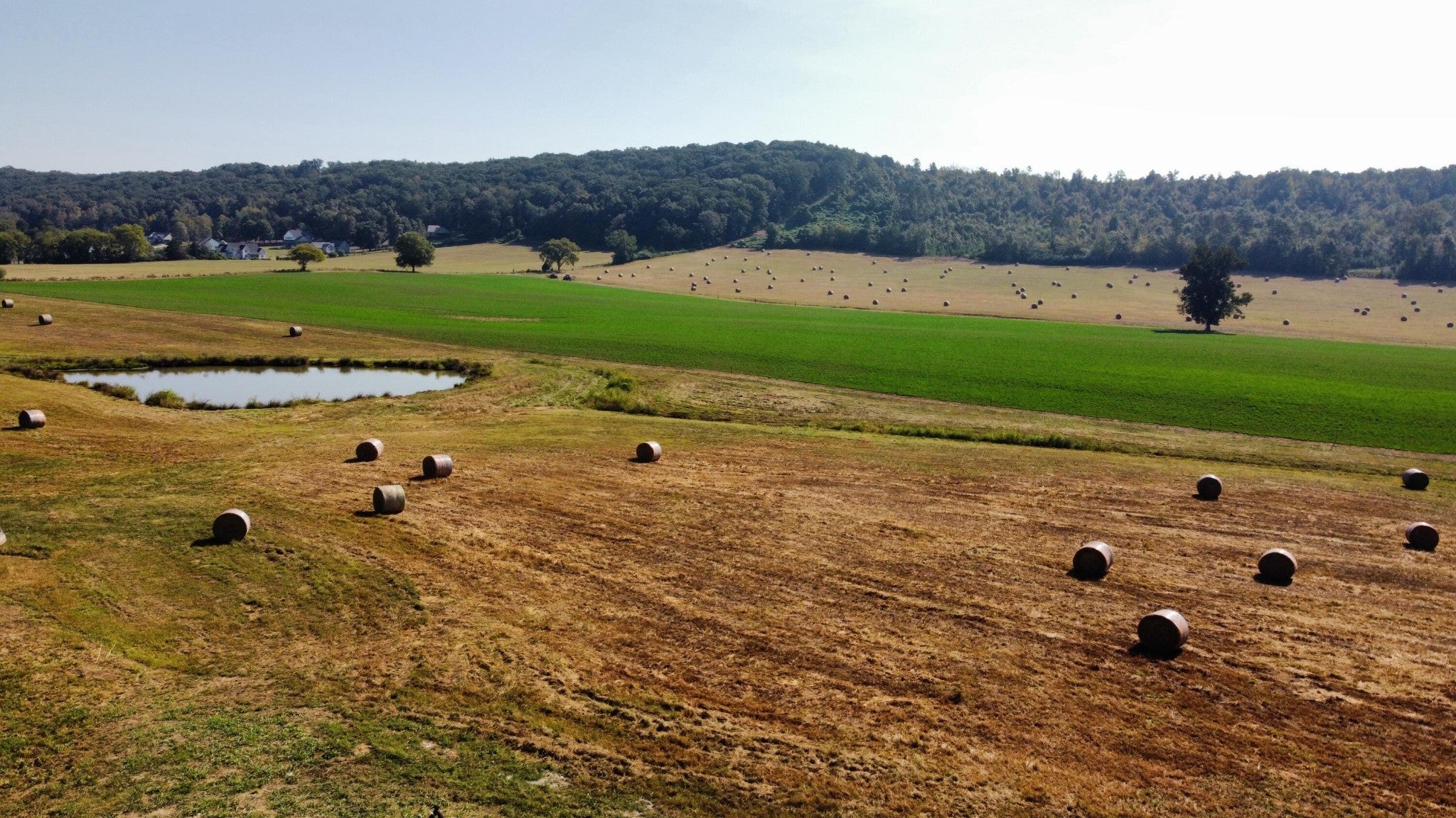 Photo of Listing #2999620