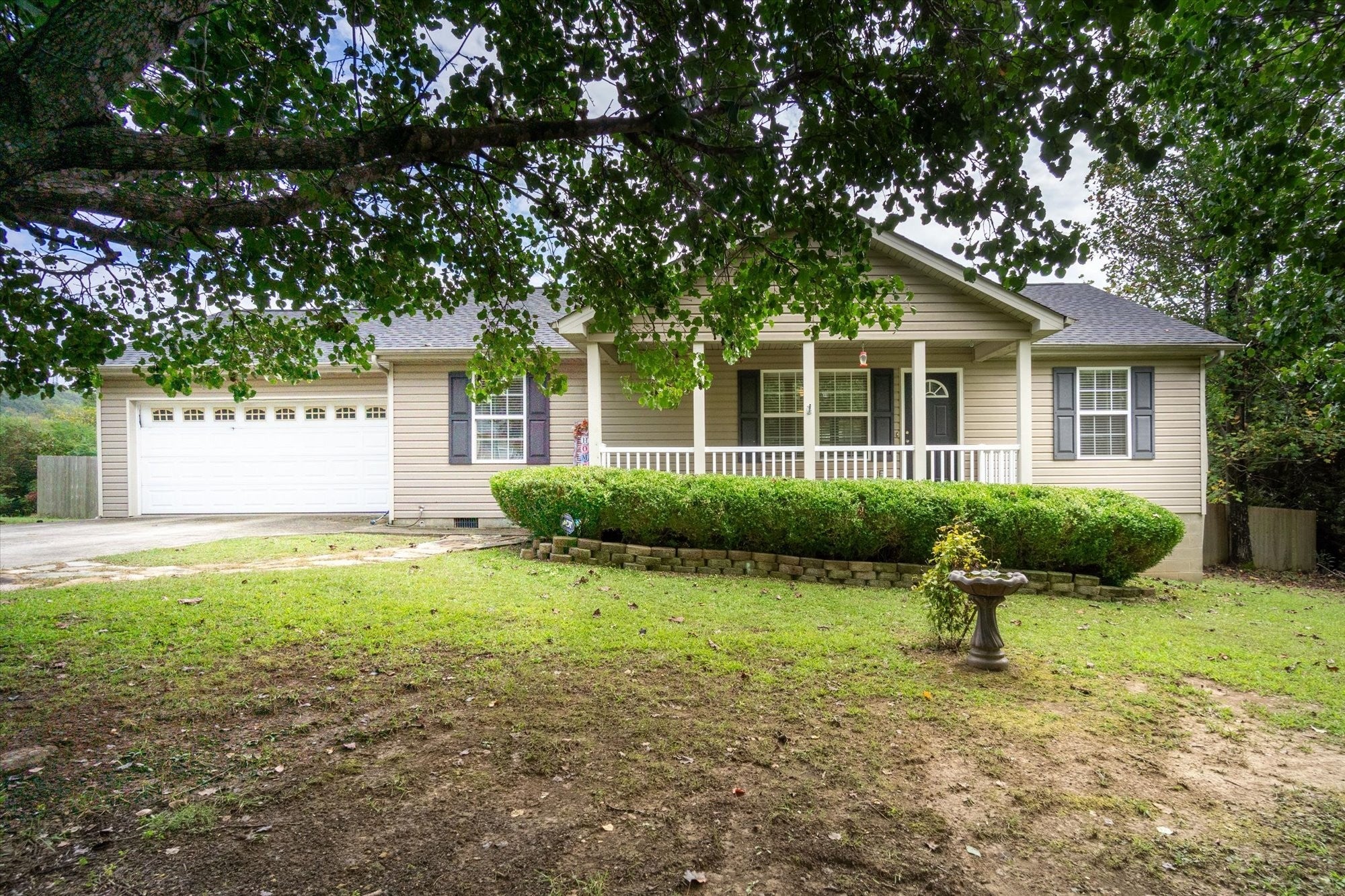 Photo of Listing #3001494