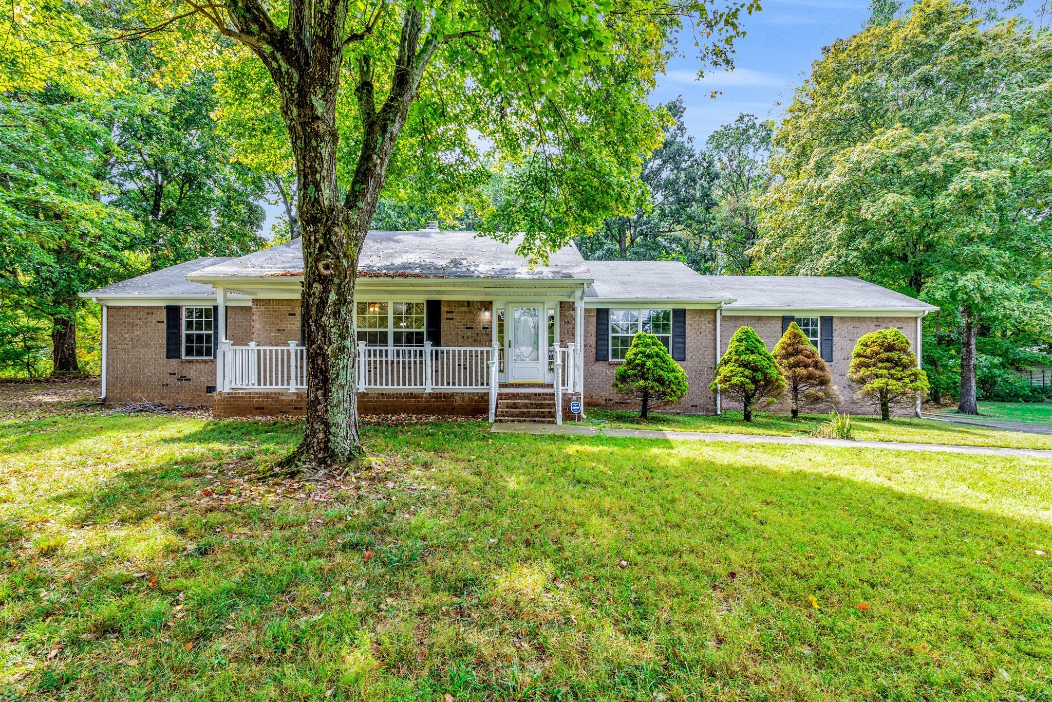 Photo of Listing #3002082