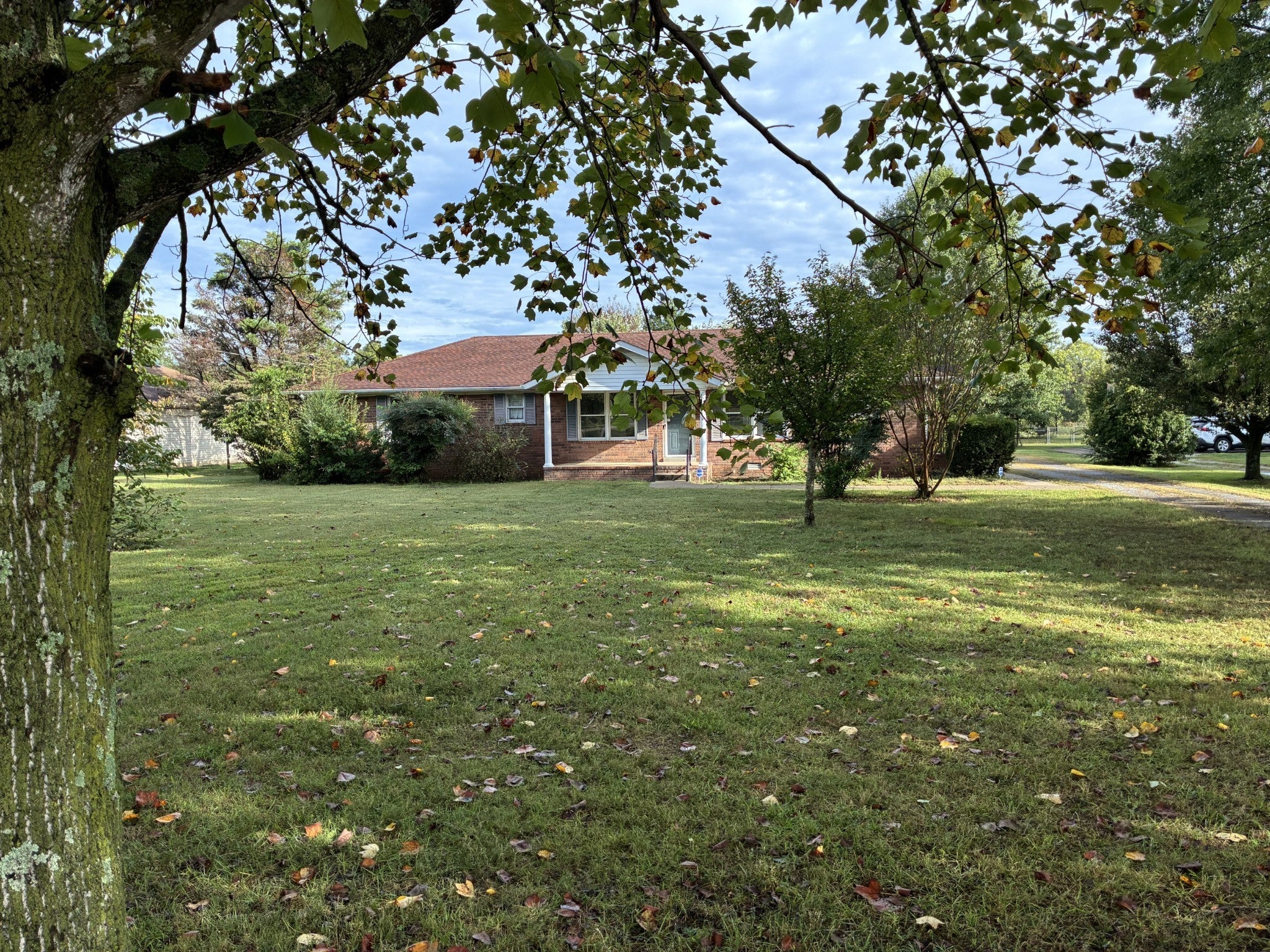 Photo of Listing #3002274