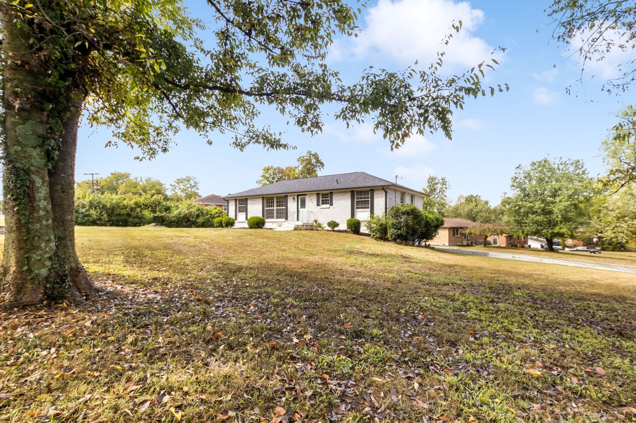 Photo of Listing #3002634