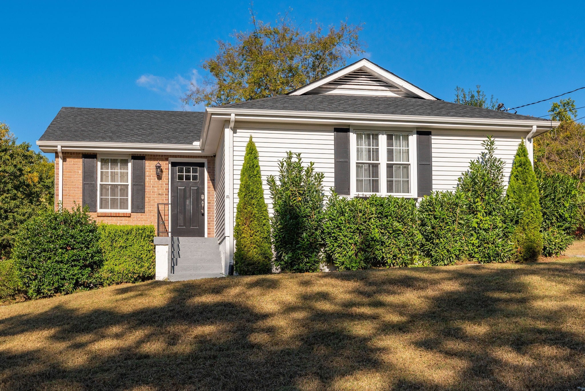 Photo of Listing #3003300