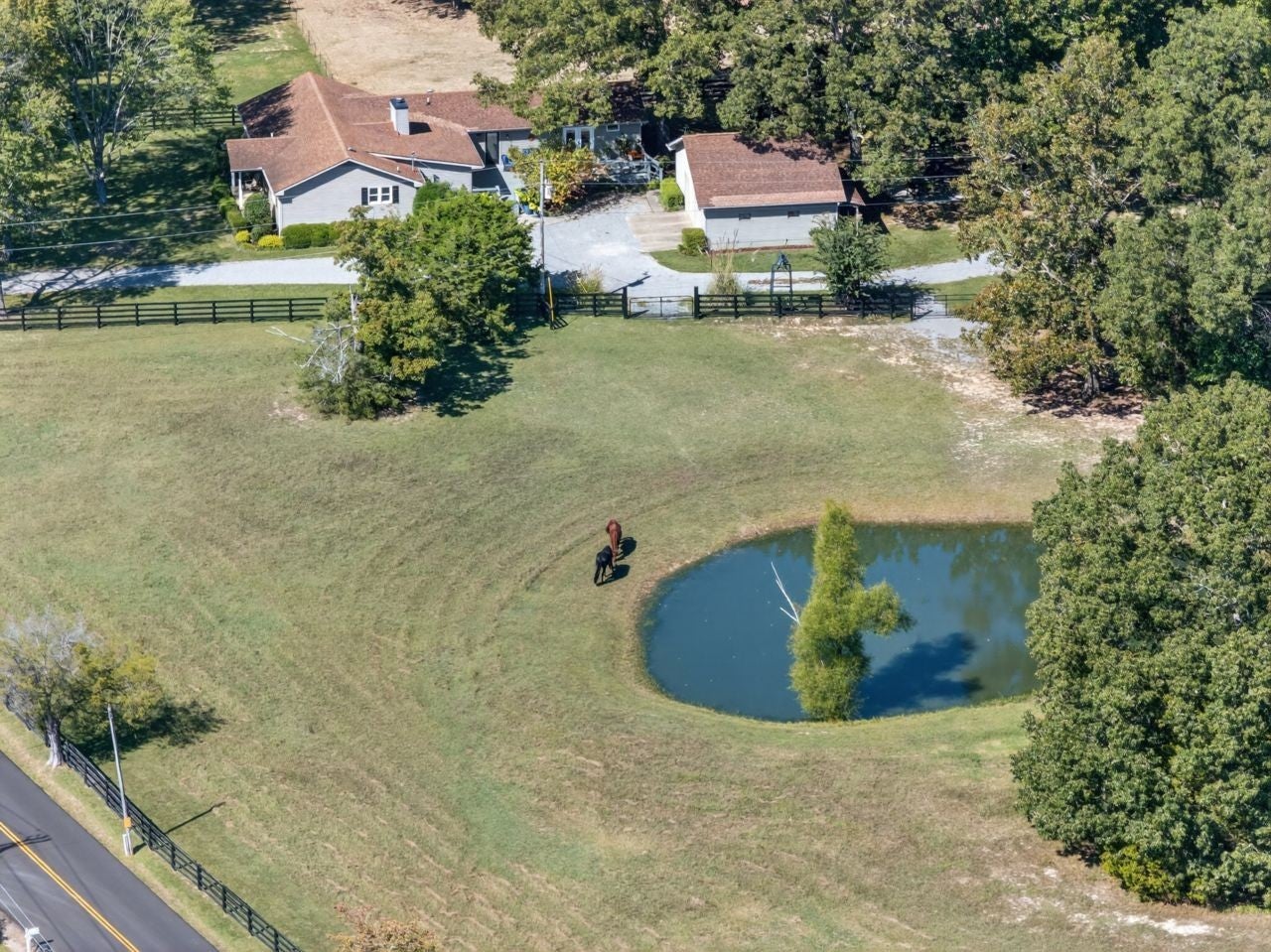 Photo of Listing #3003500