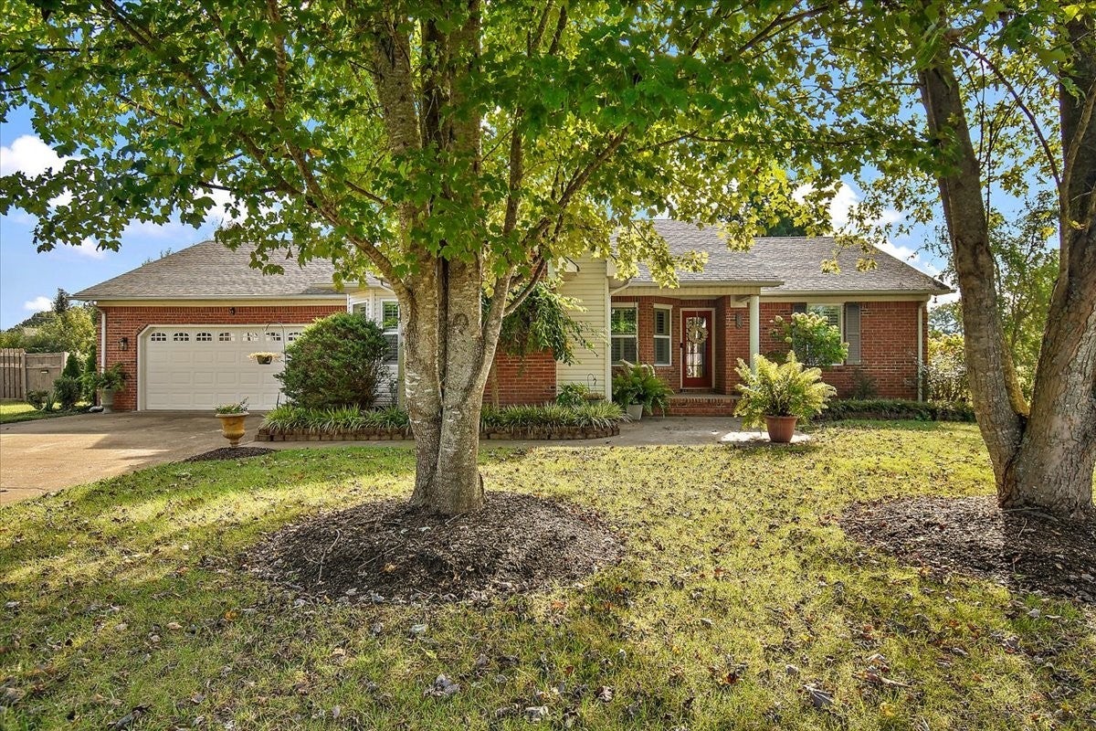 Photo of Listing #3003544