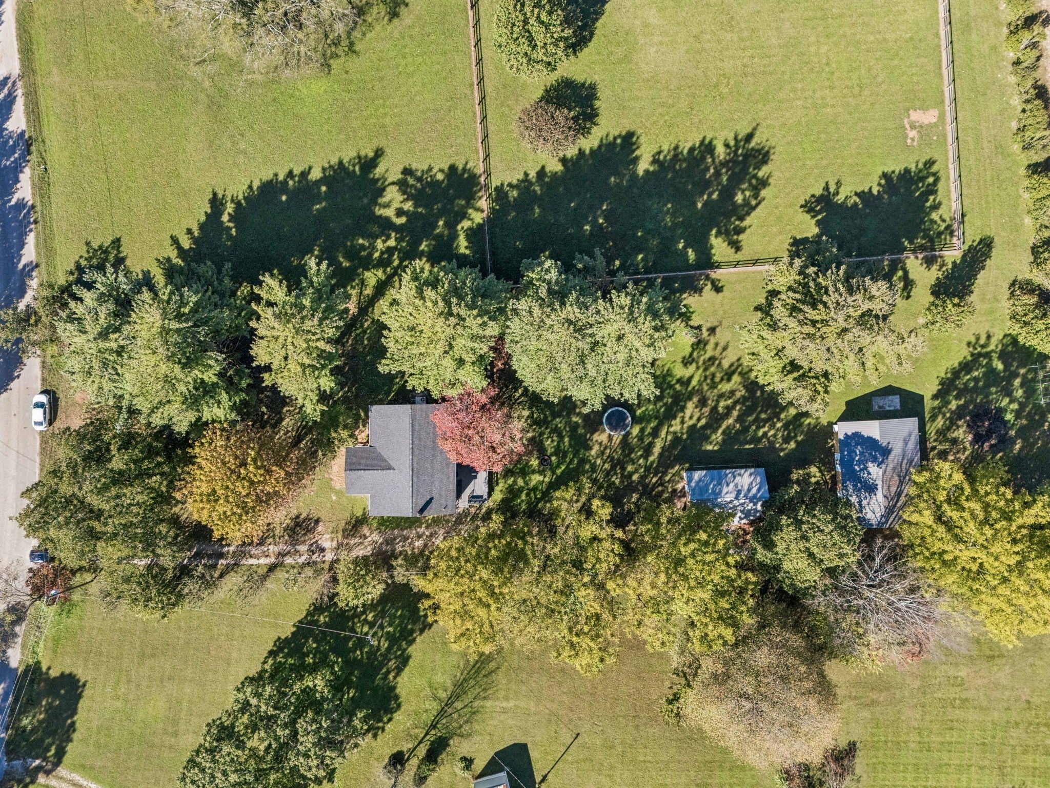 Photo of Listing #3006641