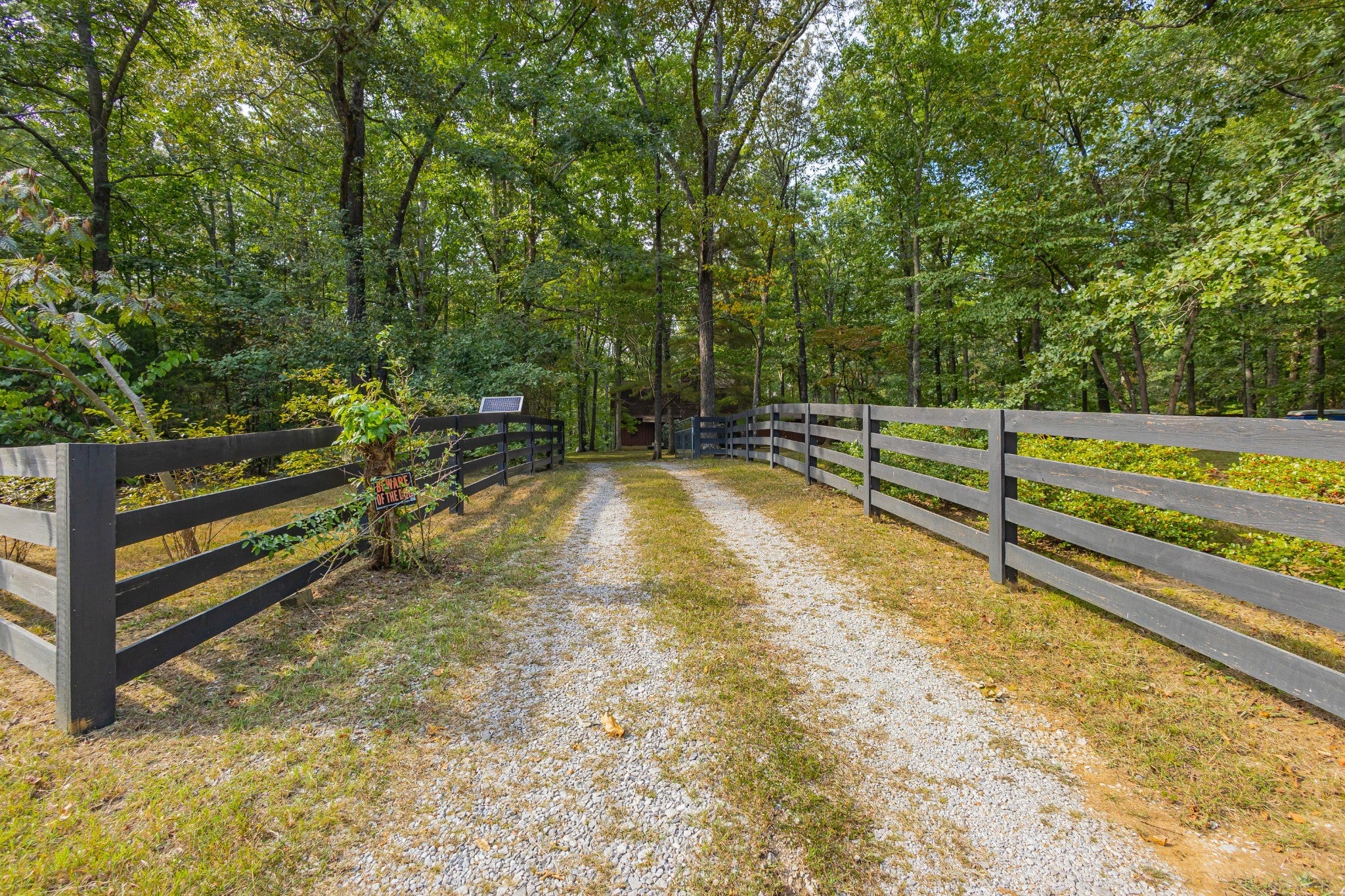 Photo of Listing #3007142