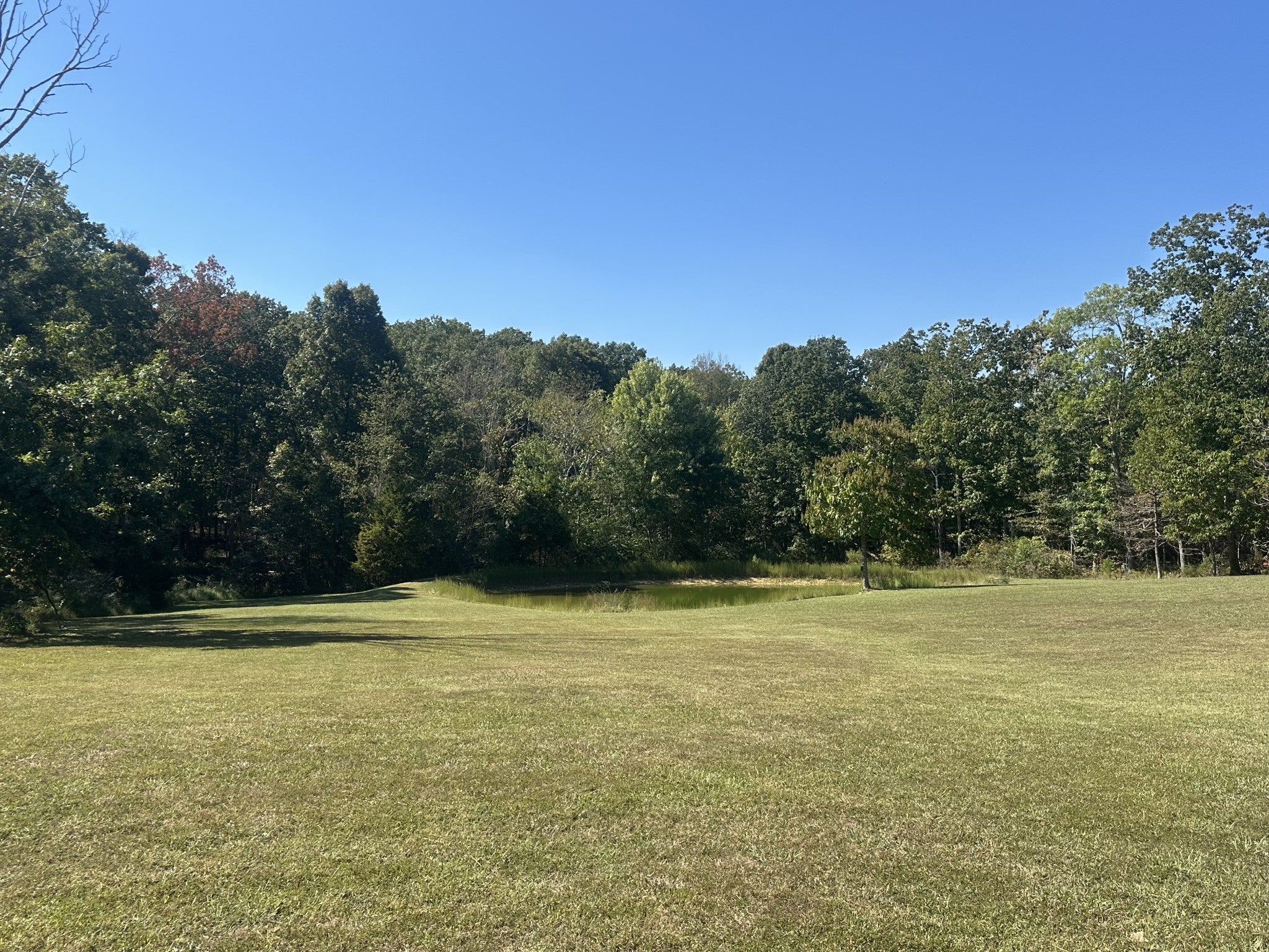 Photo of Listing #3008958