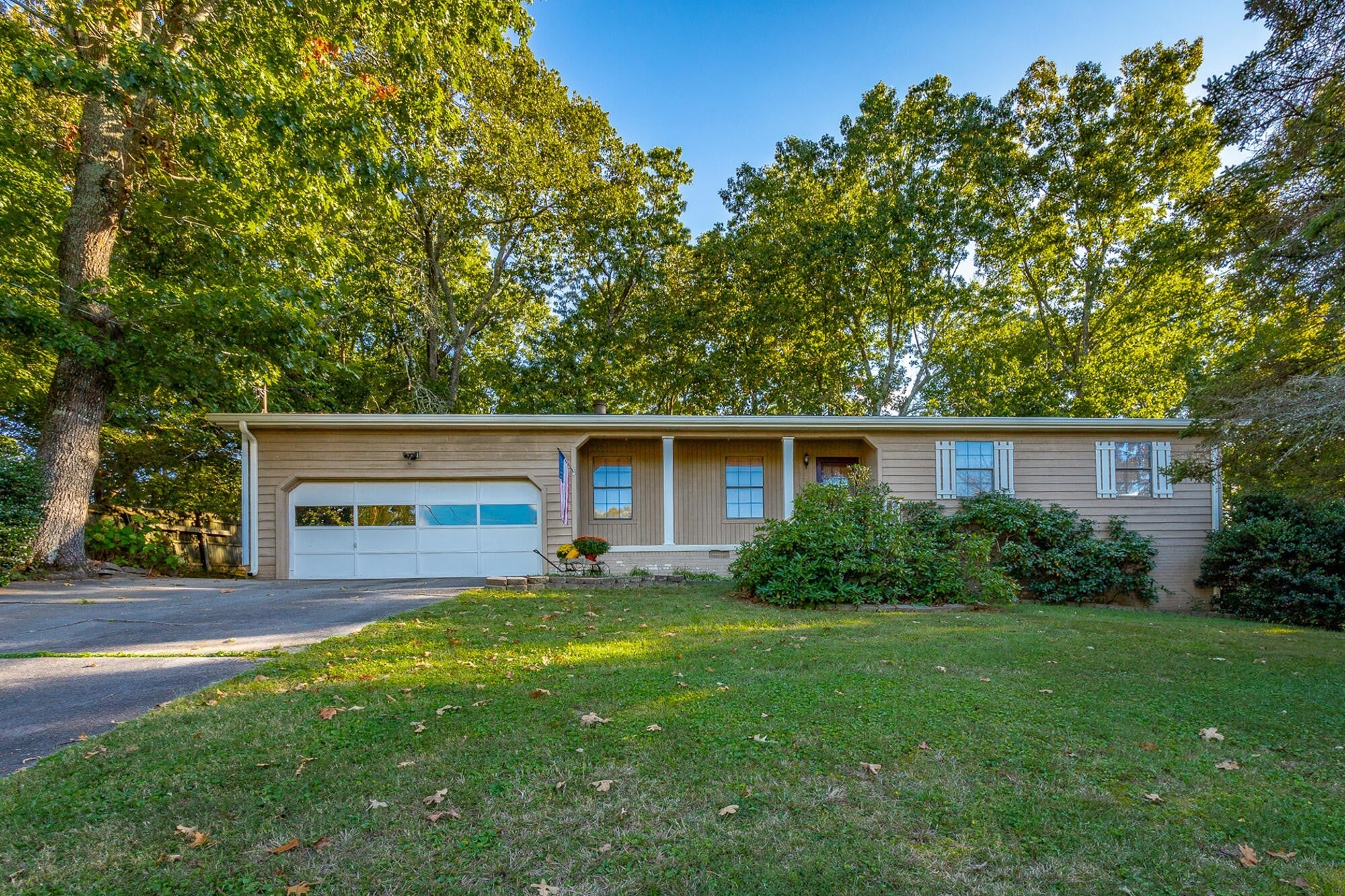 Photo of Listing #3011289