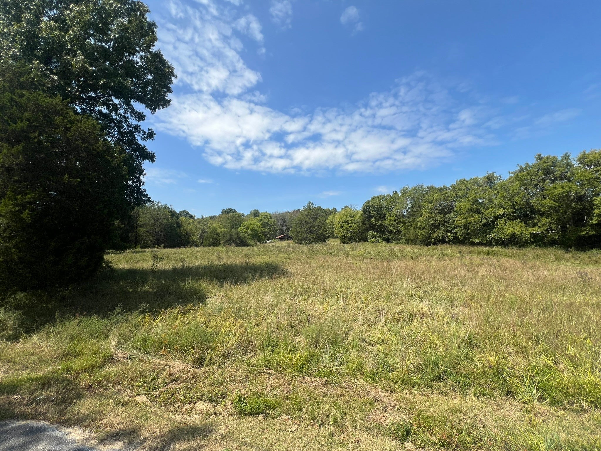 Photo of Listing #3011819