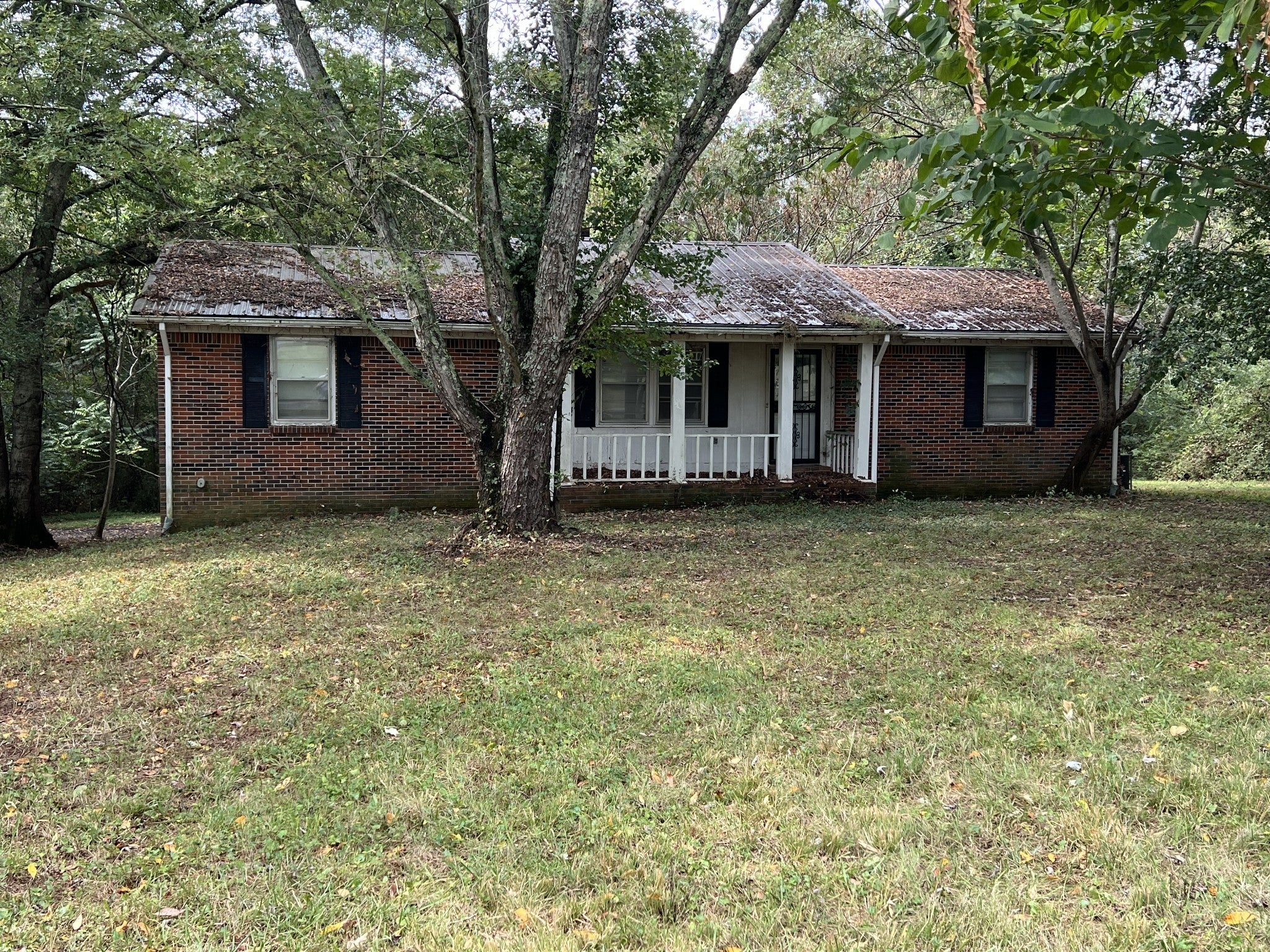 Photo of Listing #3012390
