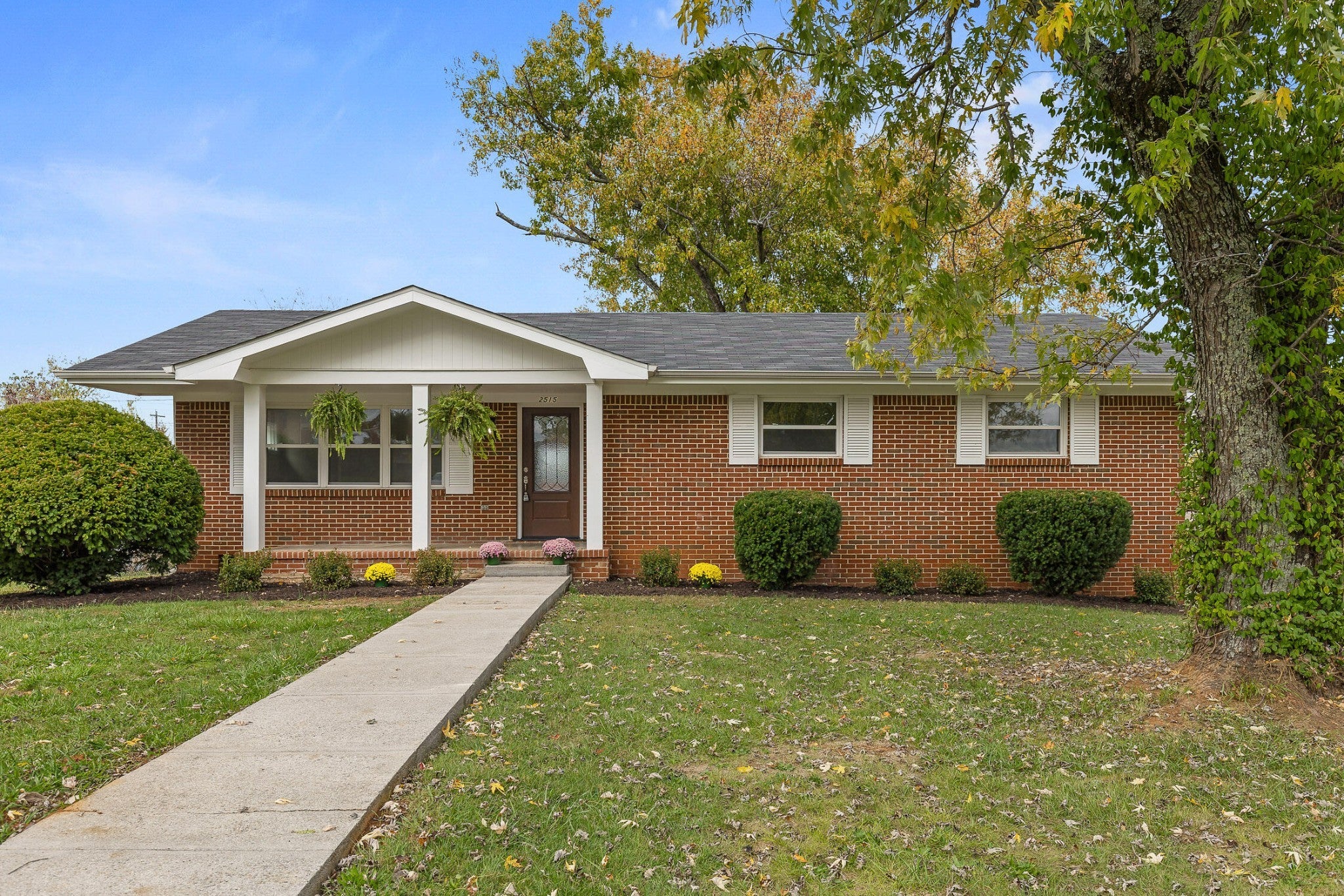 Photo of Listing #3012547