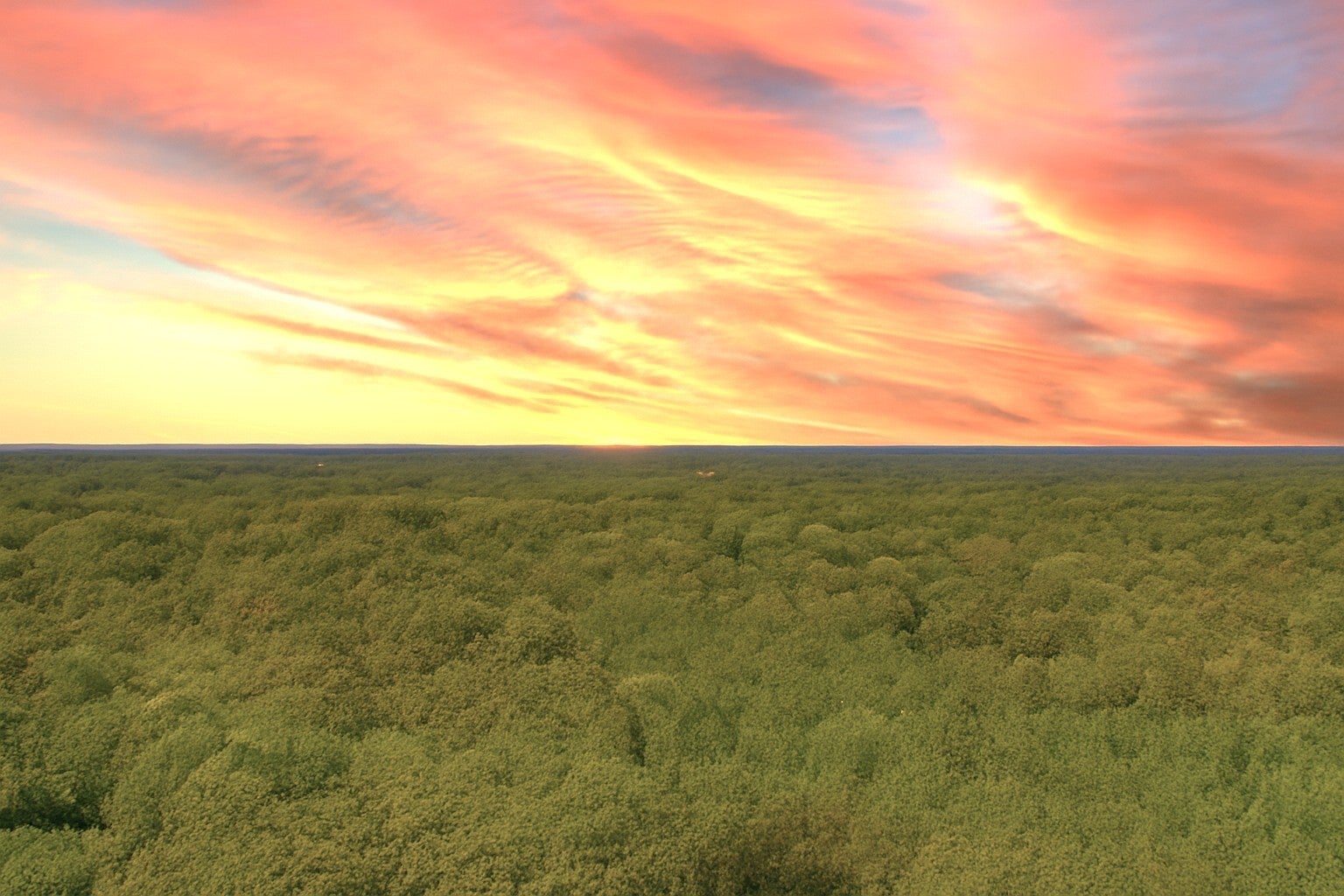 Photo of Listing #3013109