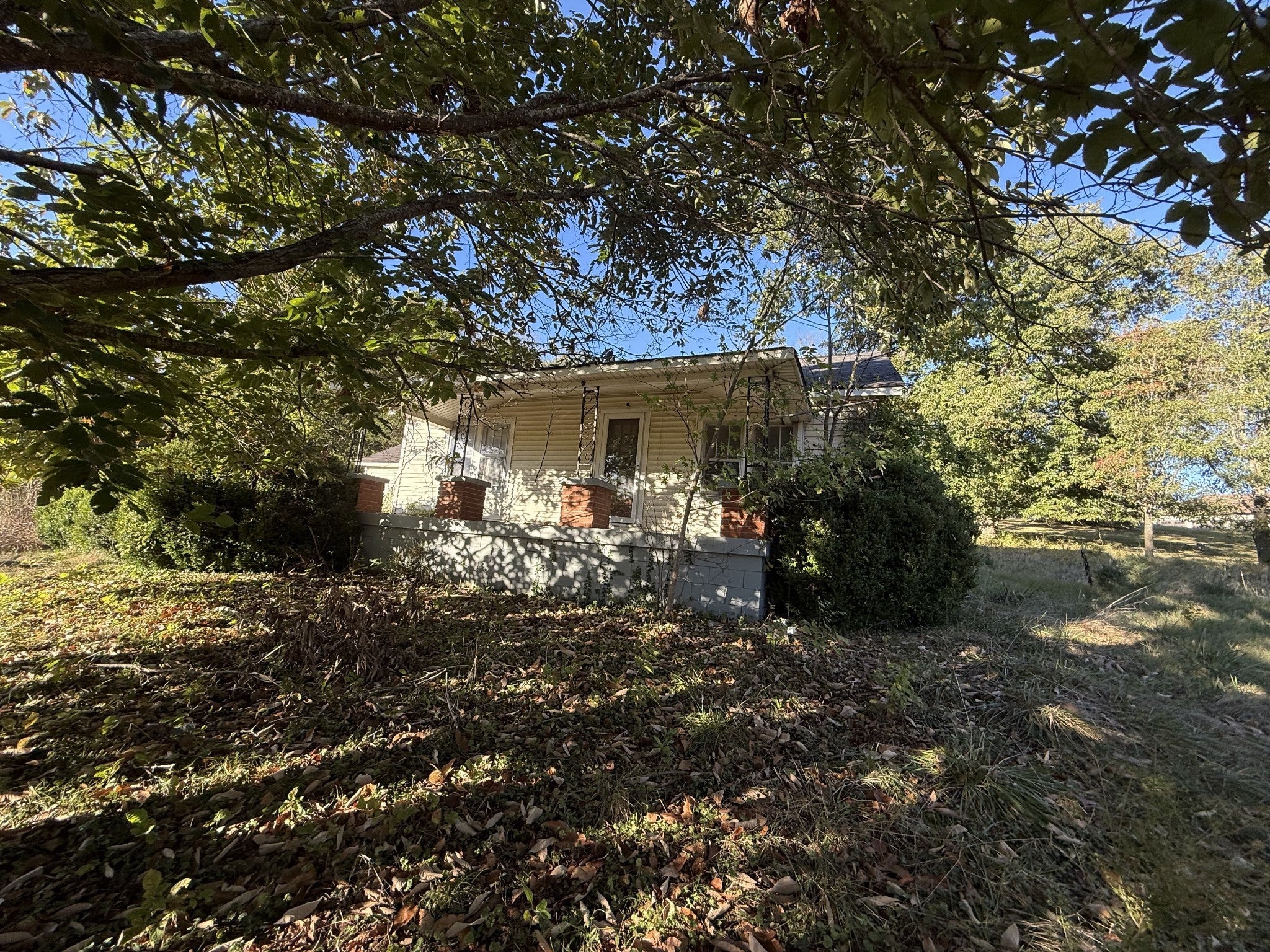 Photo of Listing #3014186