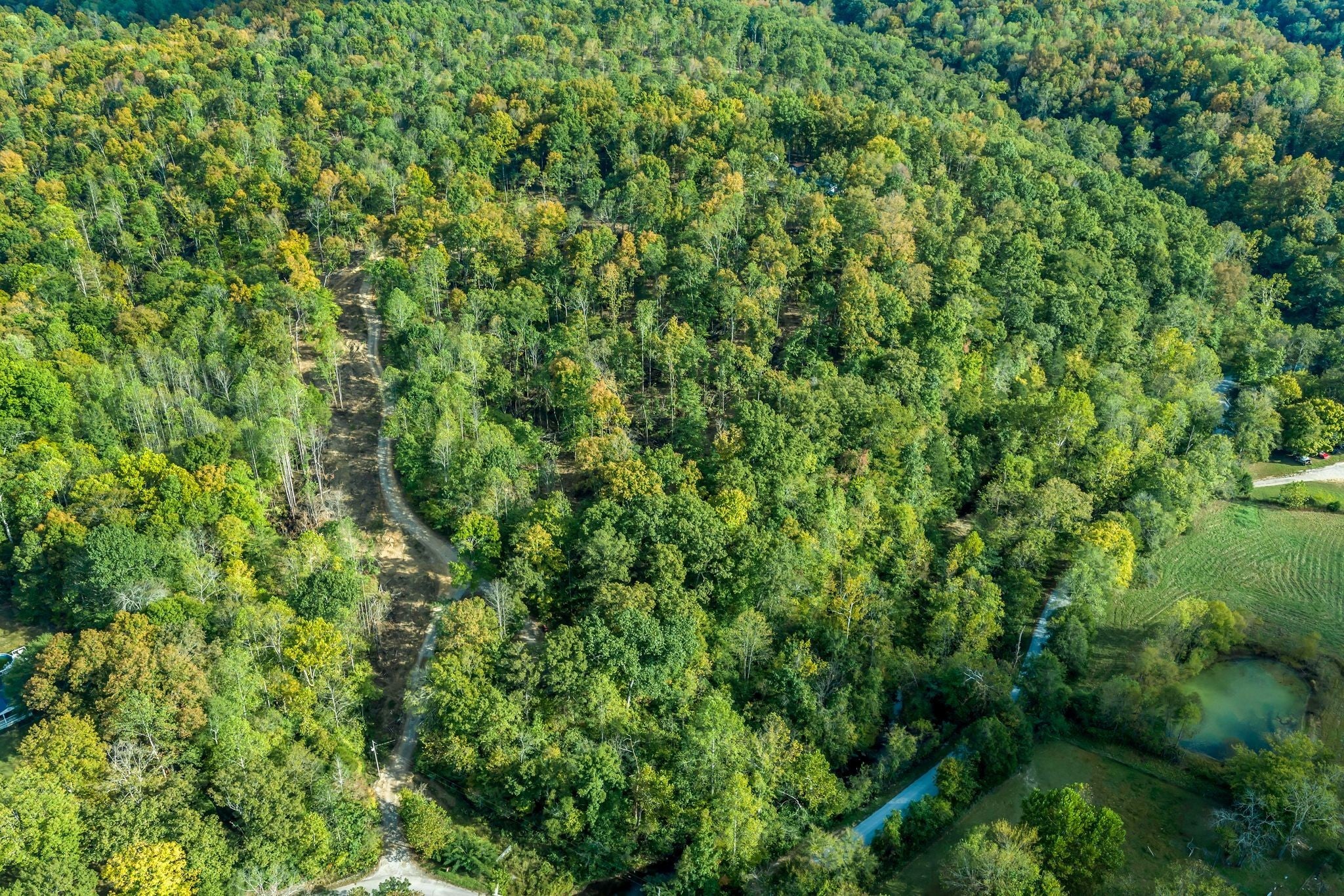 Photo of Listing #3014946