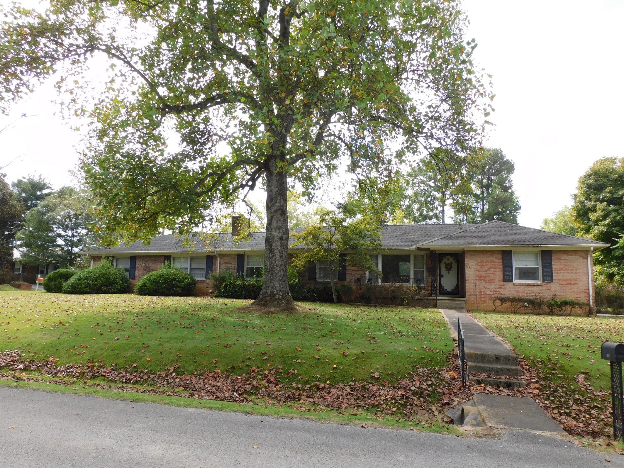 Photo of Listing #3016028