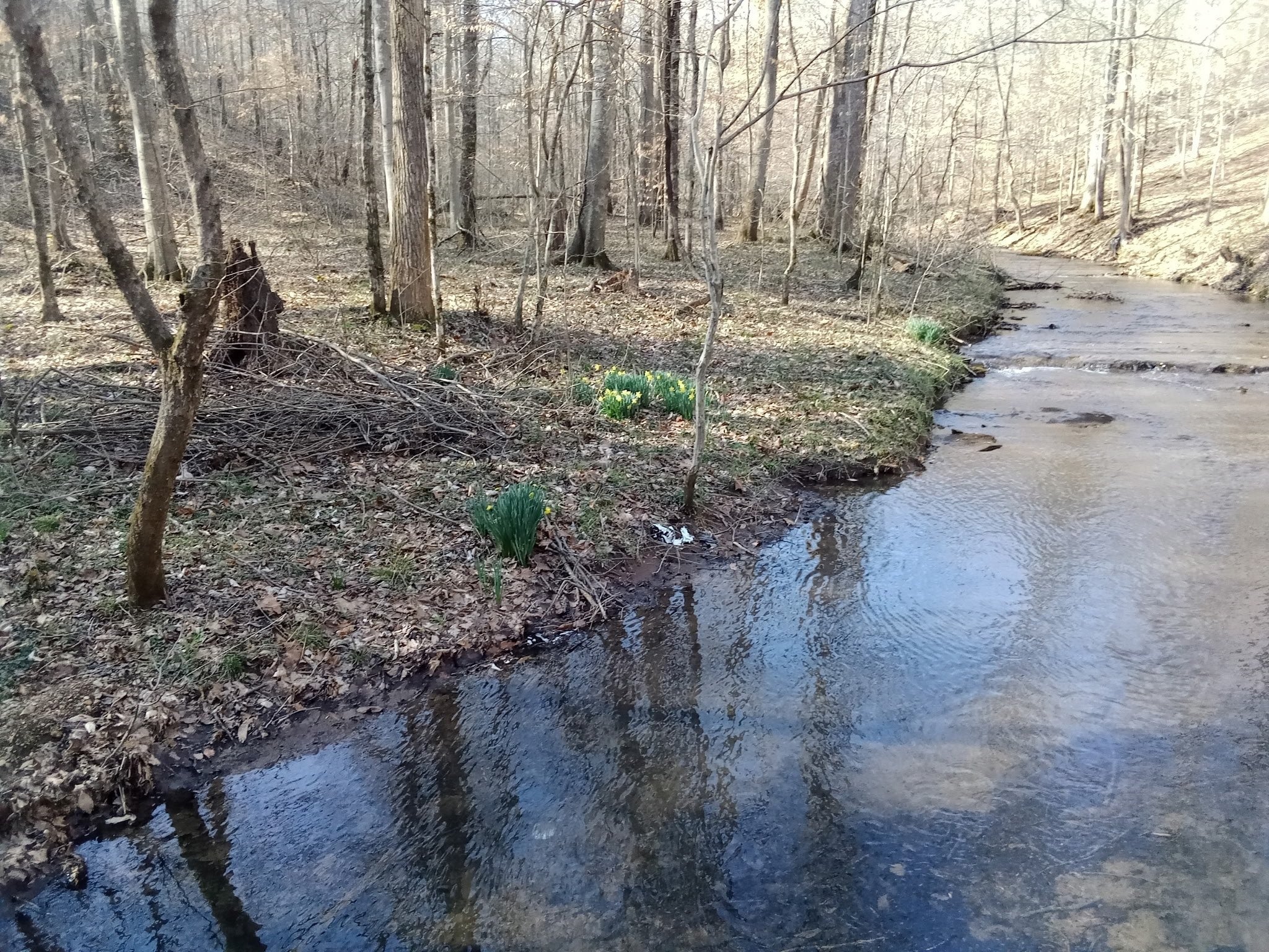 Photo of Listing #3017075