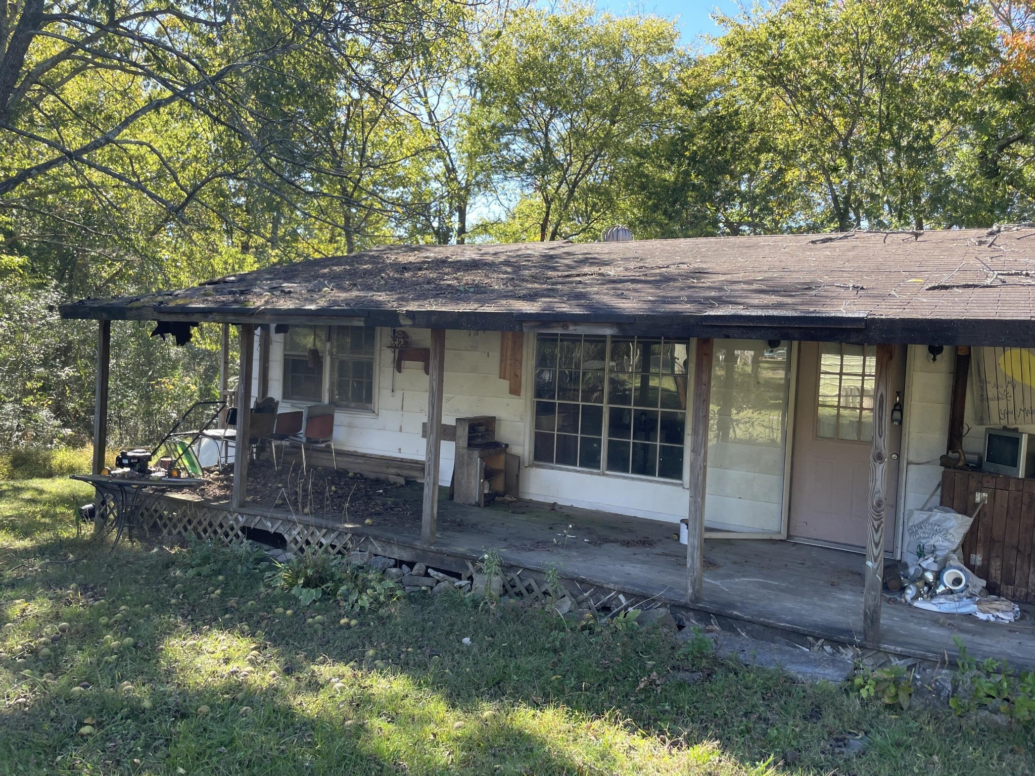 Photo of Listing #3017328