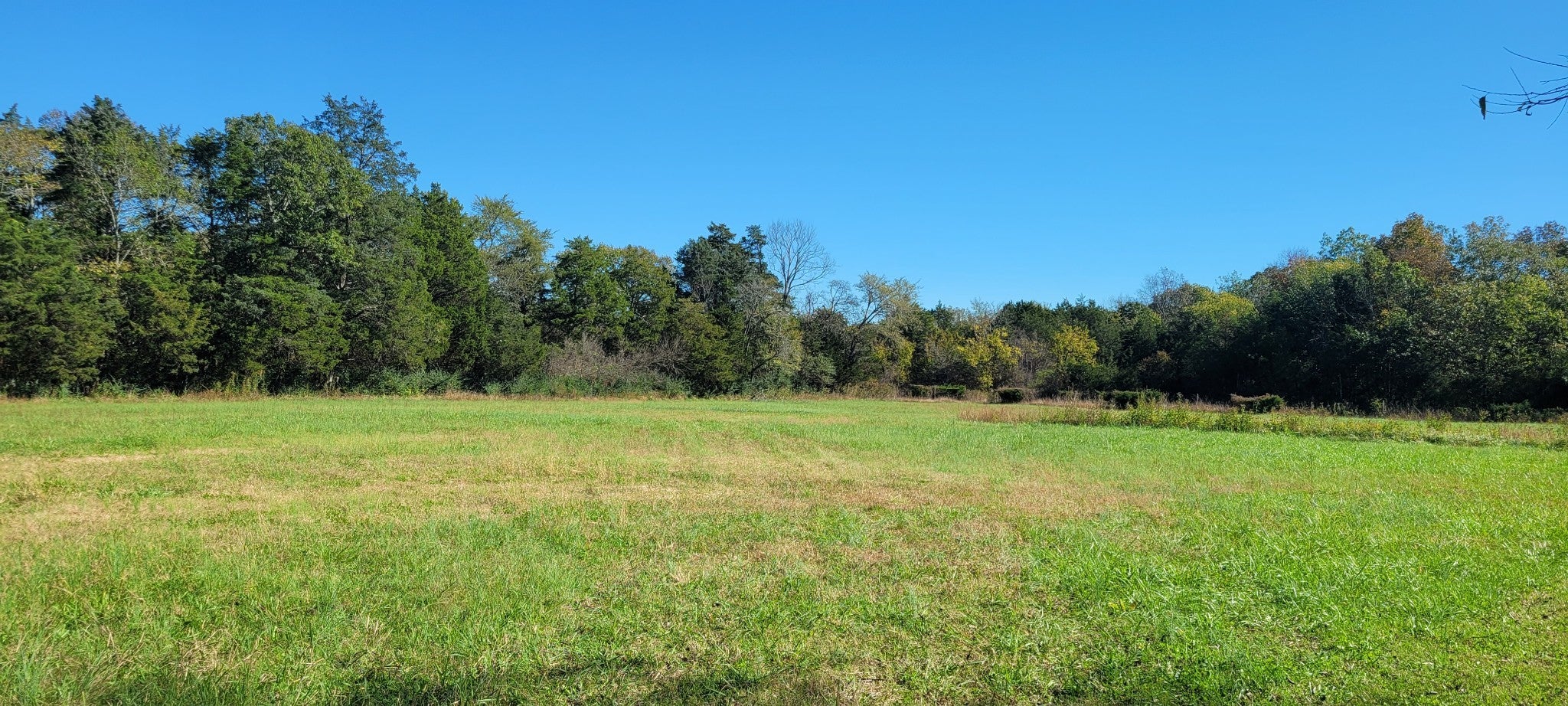 Photo of Listing #3025384