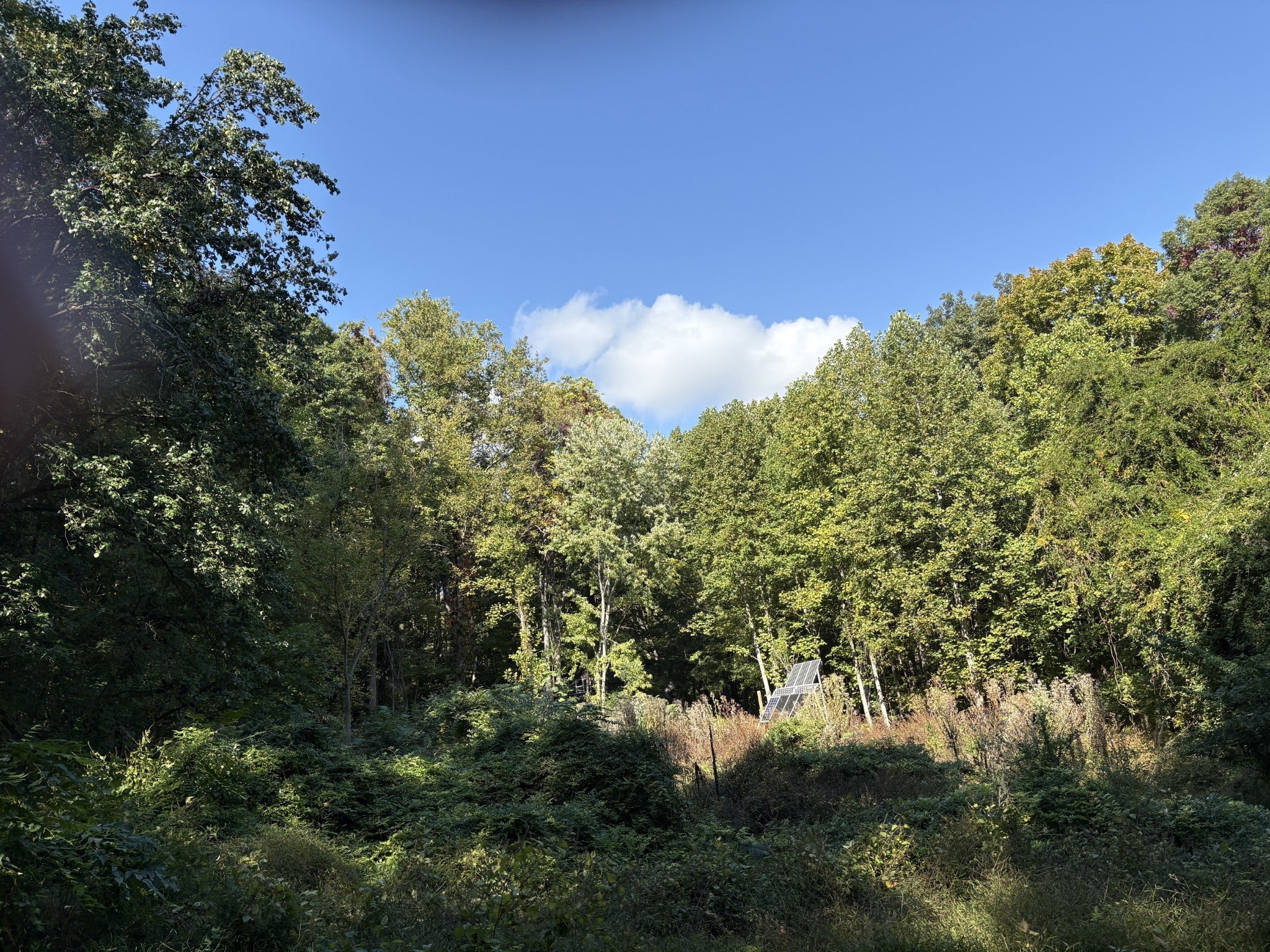 Photo of Listing #3030726