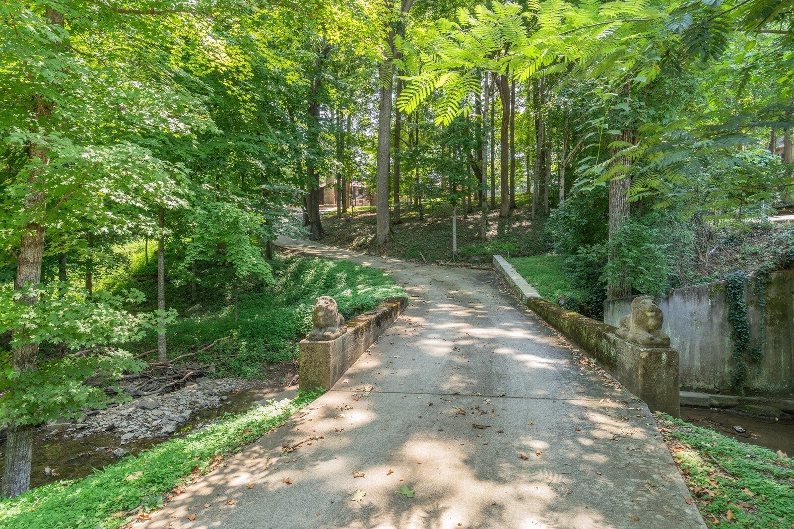 Photo of Listing #3031368