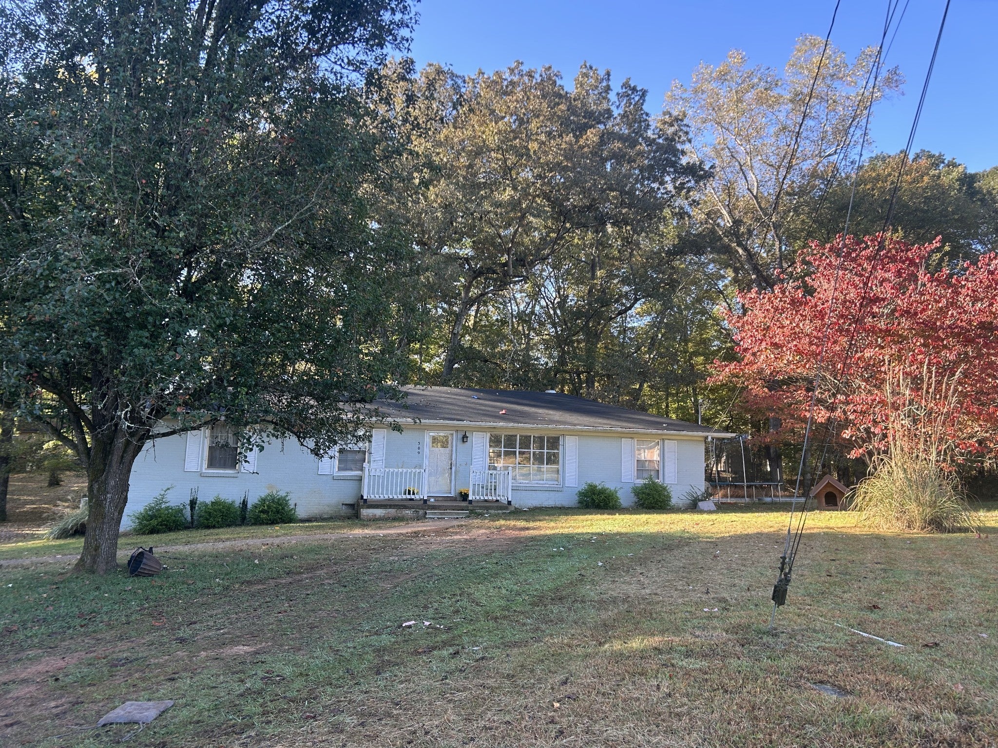 Photo of Listing #3032984