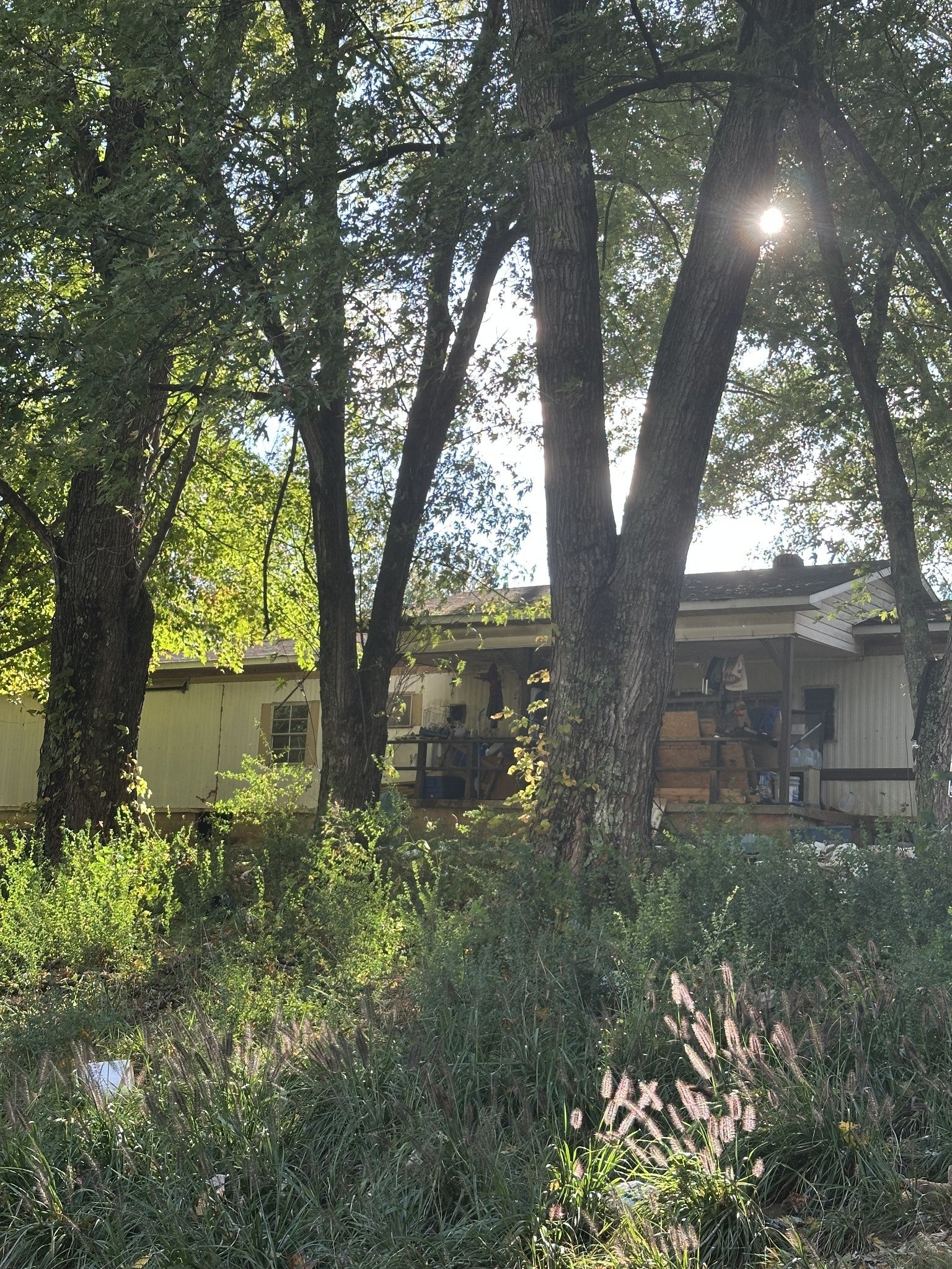 Photo of Listing #3033162