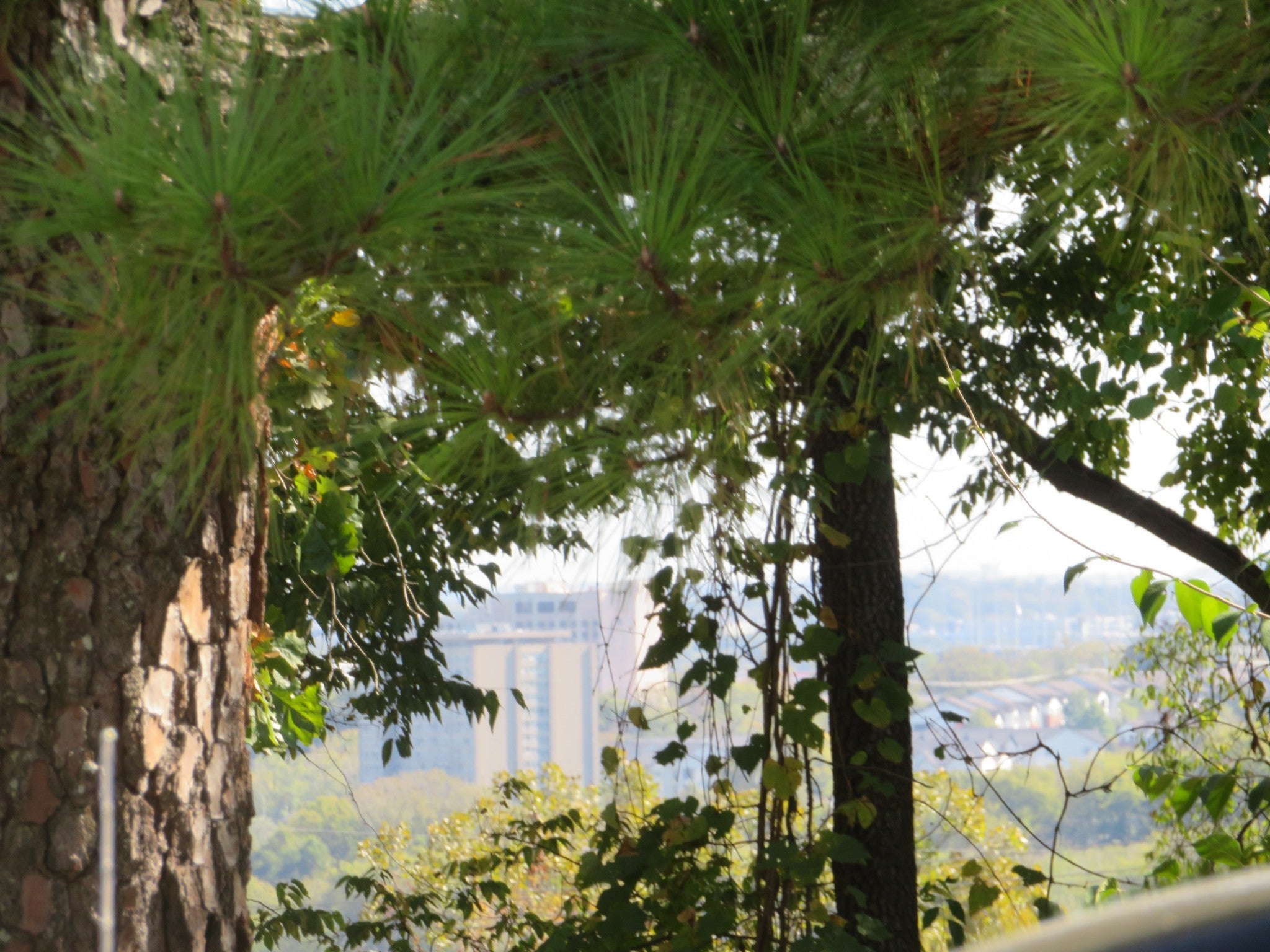 Photo of Listing #3033608