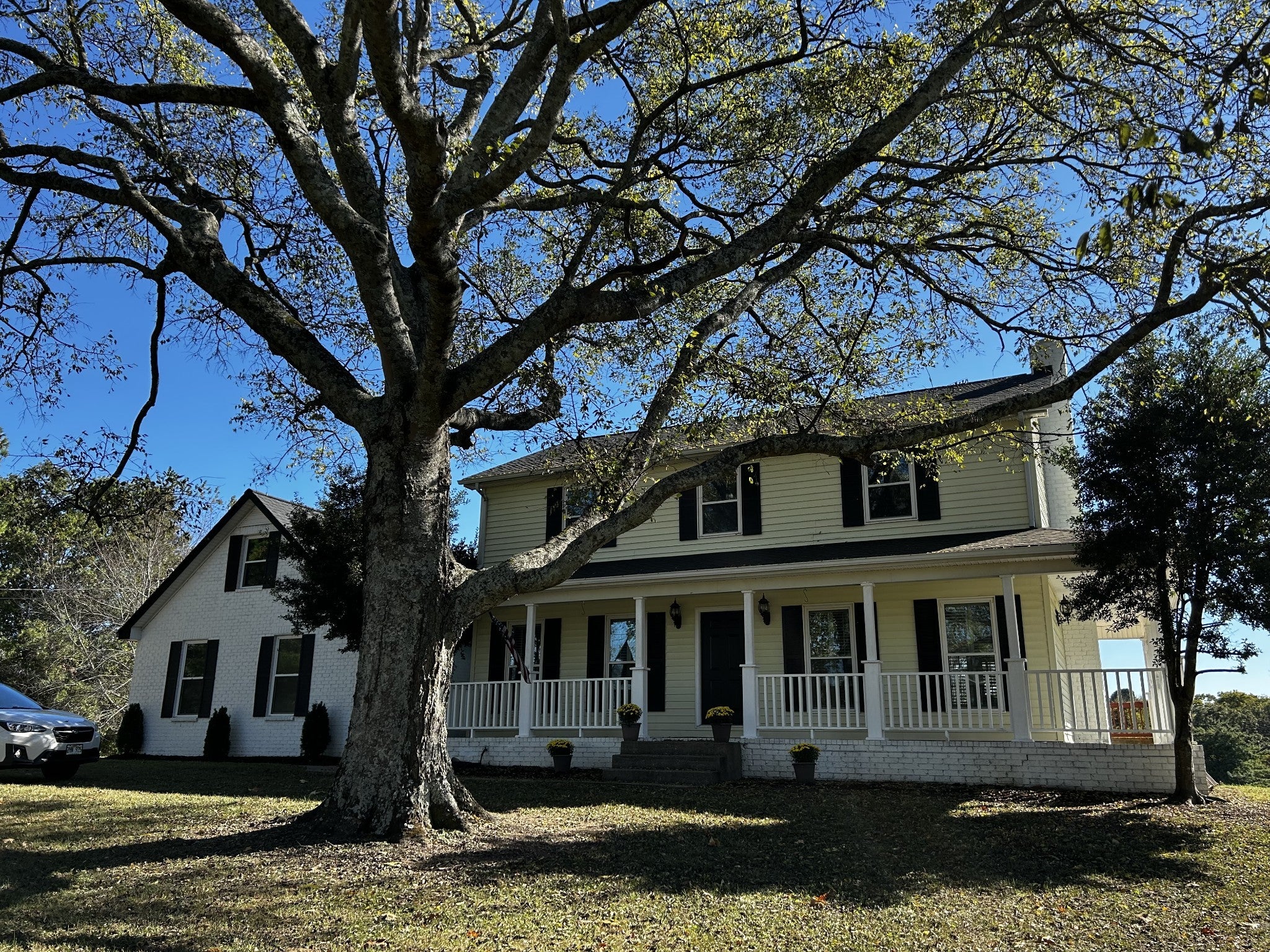 Photo of Listing #3034907