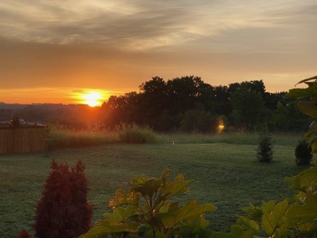 454 River Bluff Dr, Franklin