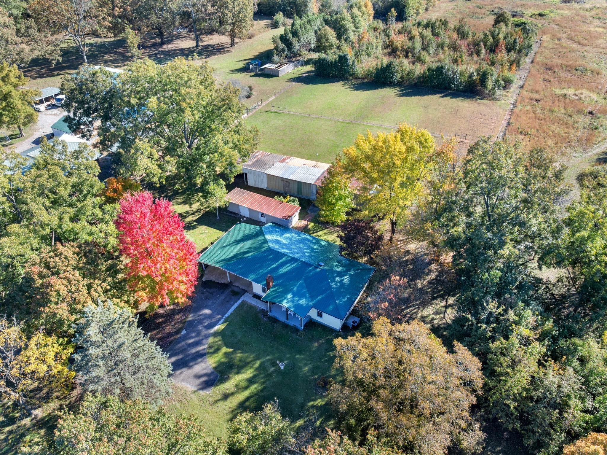 Photo of Listing #3036008