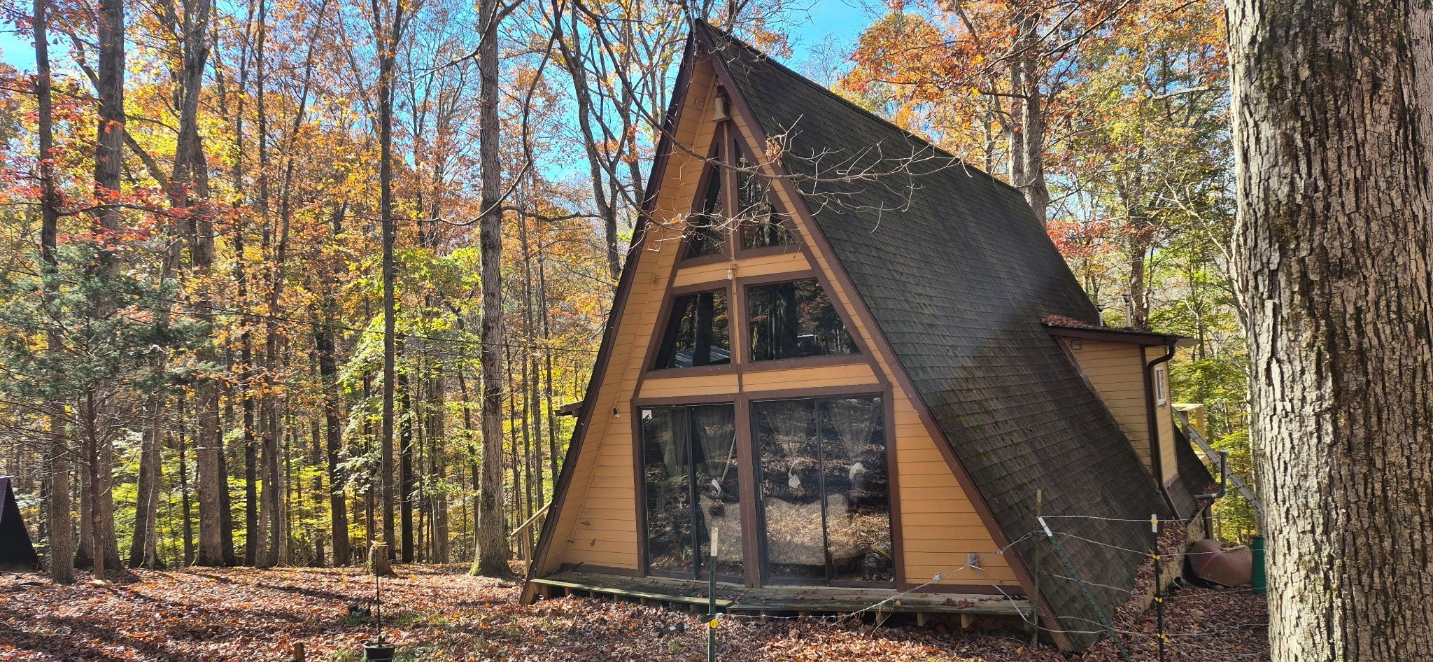 Photo of Listing #3037719