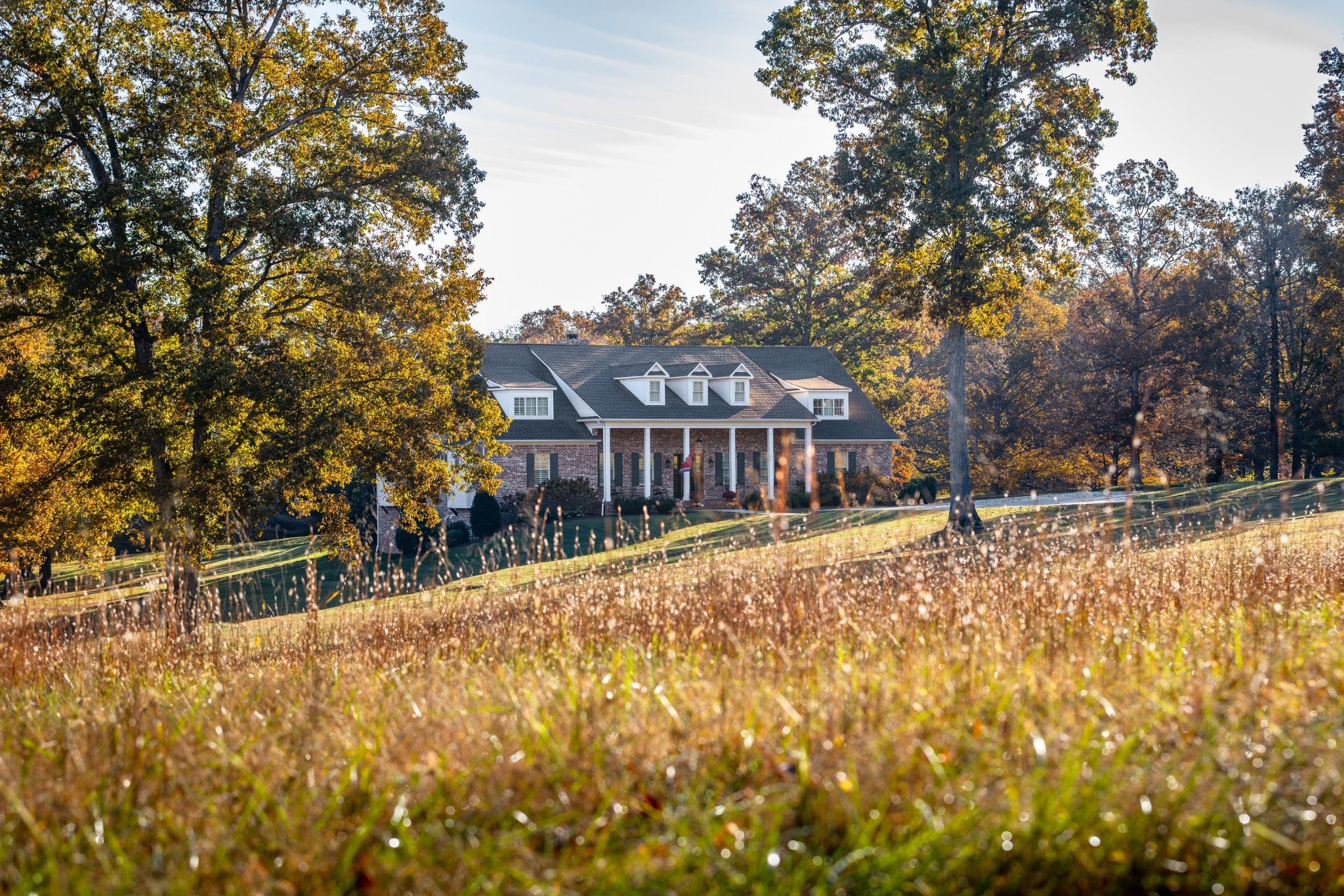 Photo of Listing #3037817