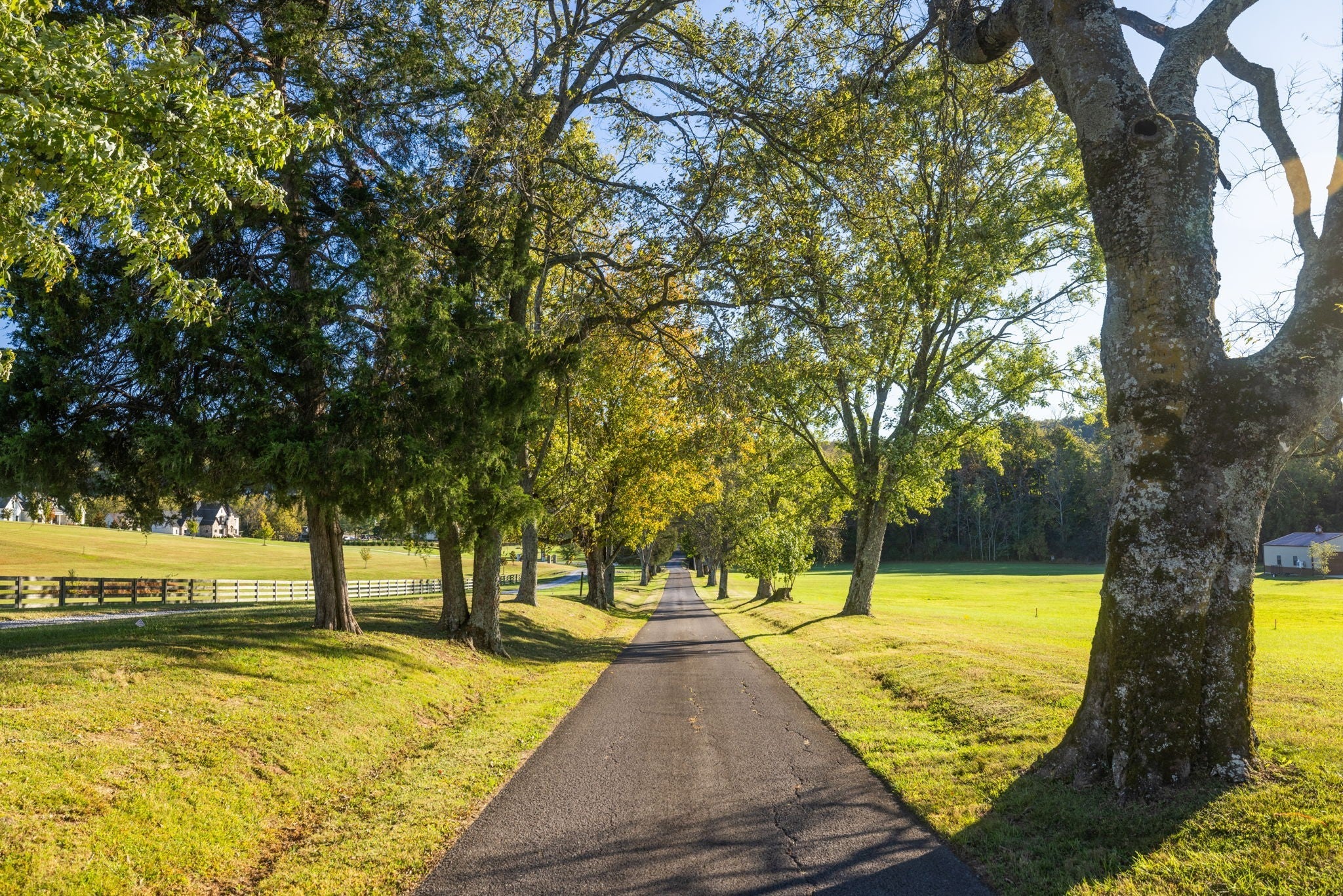 Photo of Listing #3037925