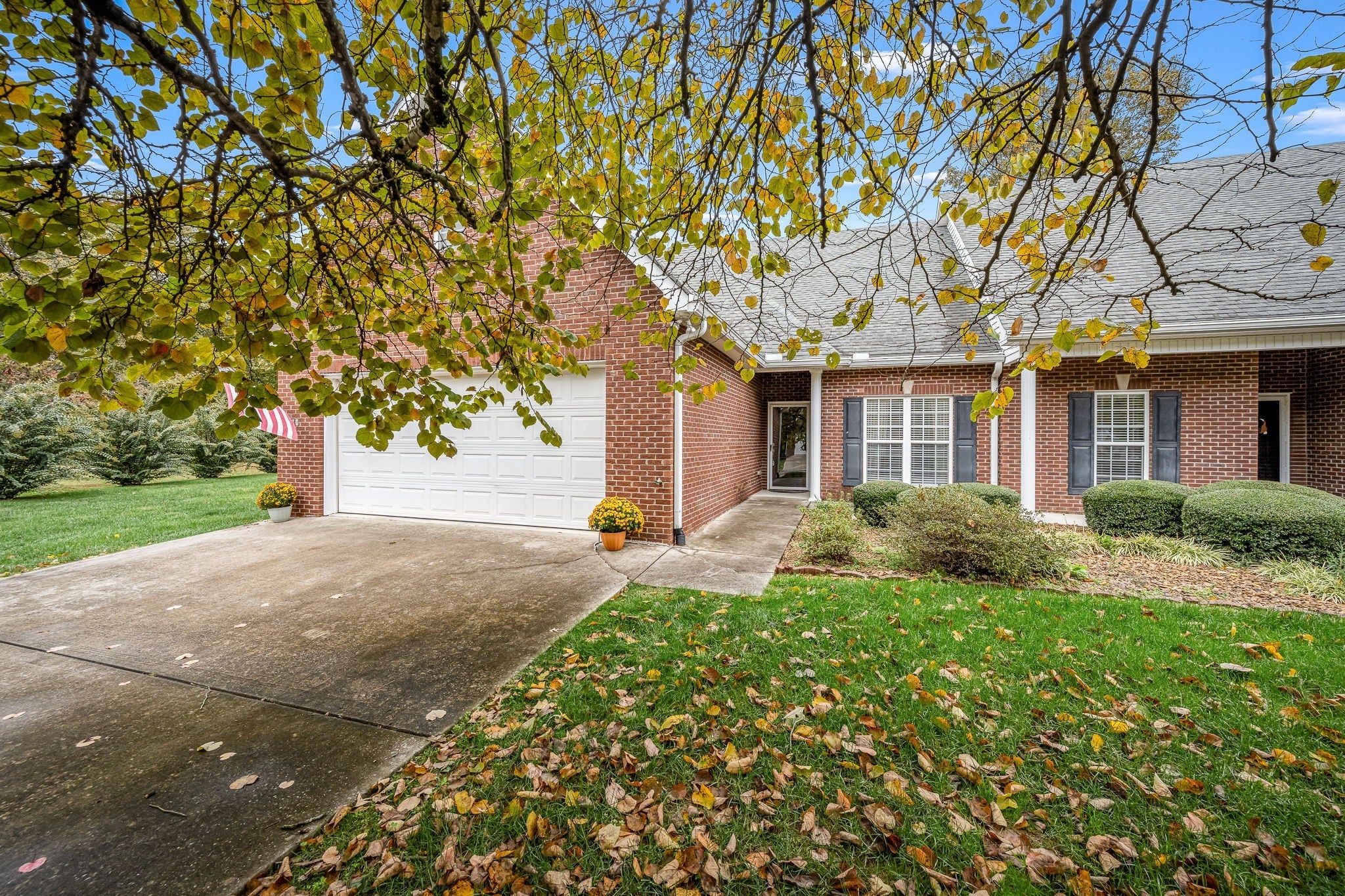 Photo of Listing #3038883