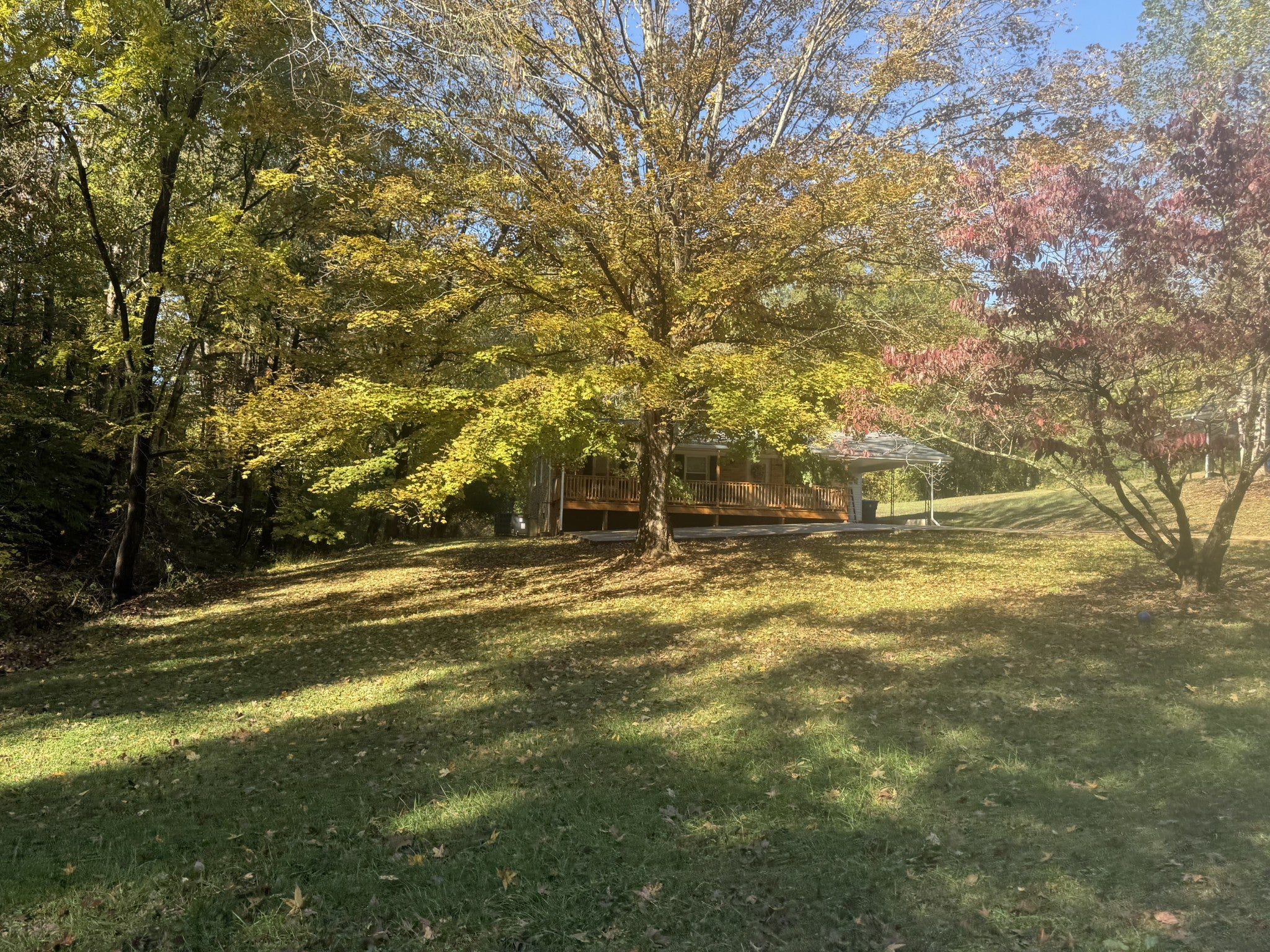 Photo of Listing #3039306