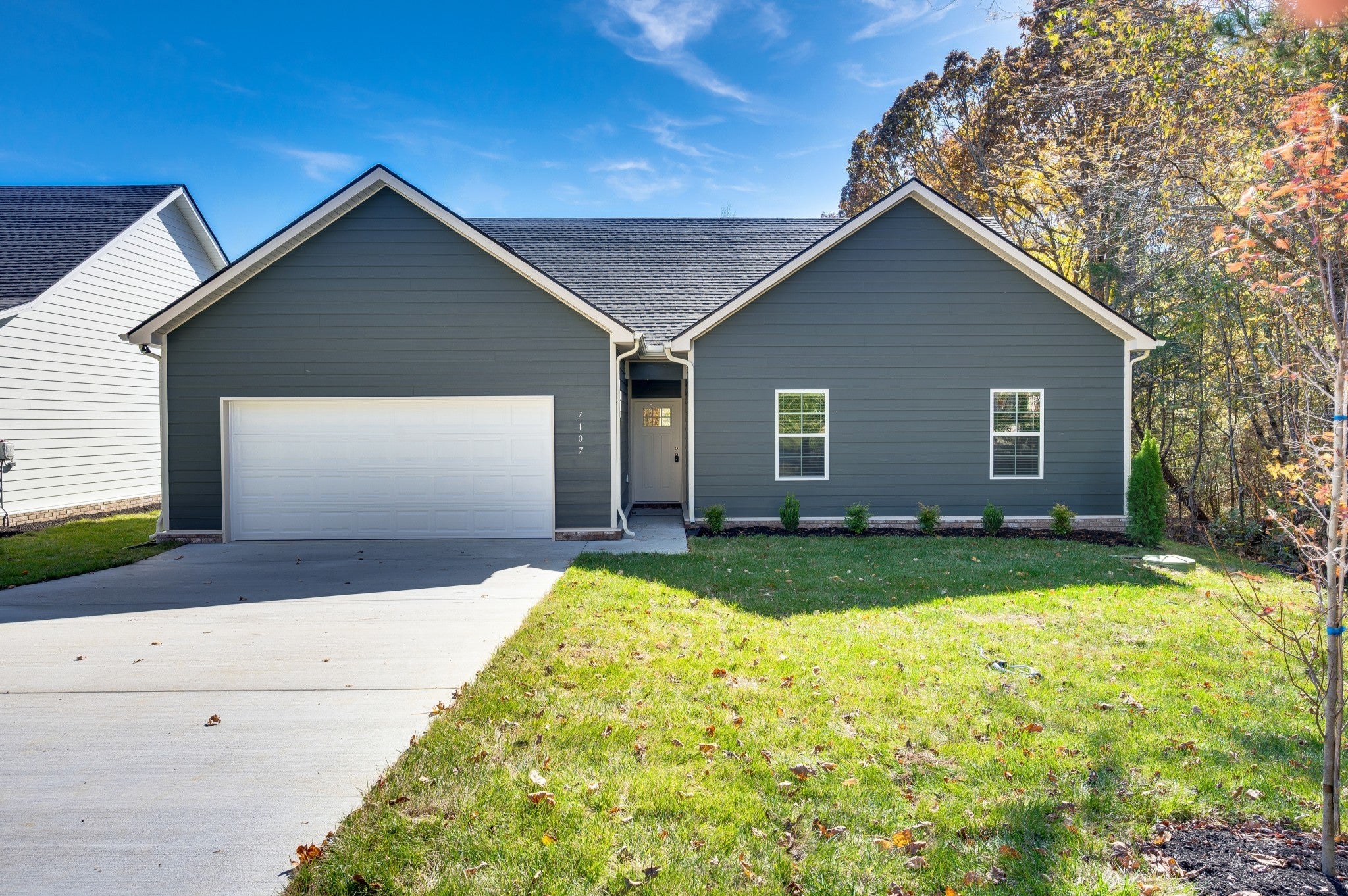 Photo of Listing #3039911