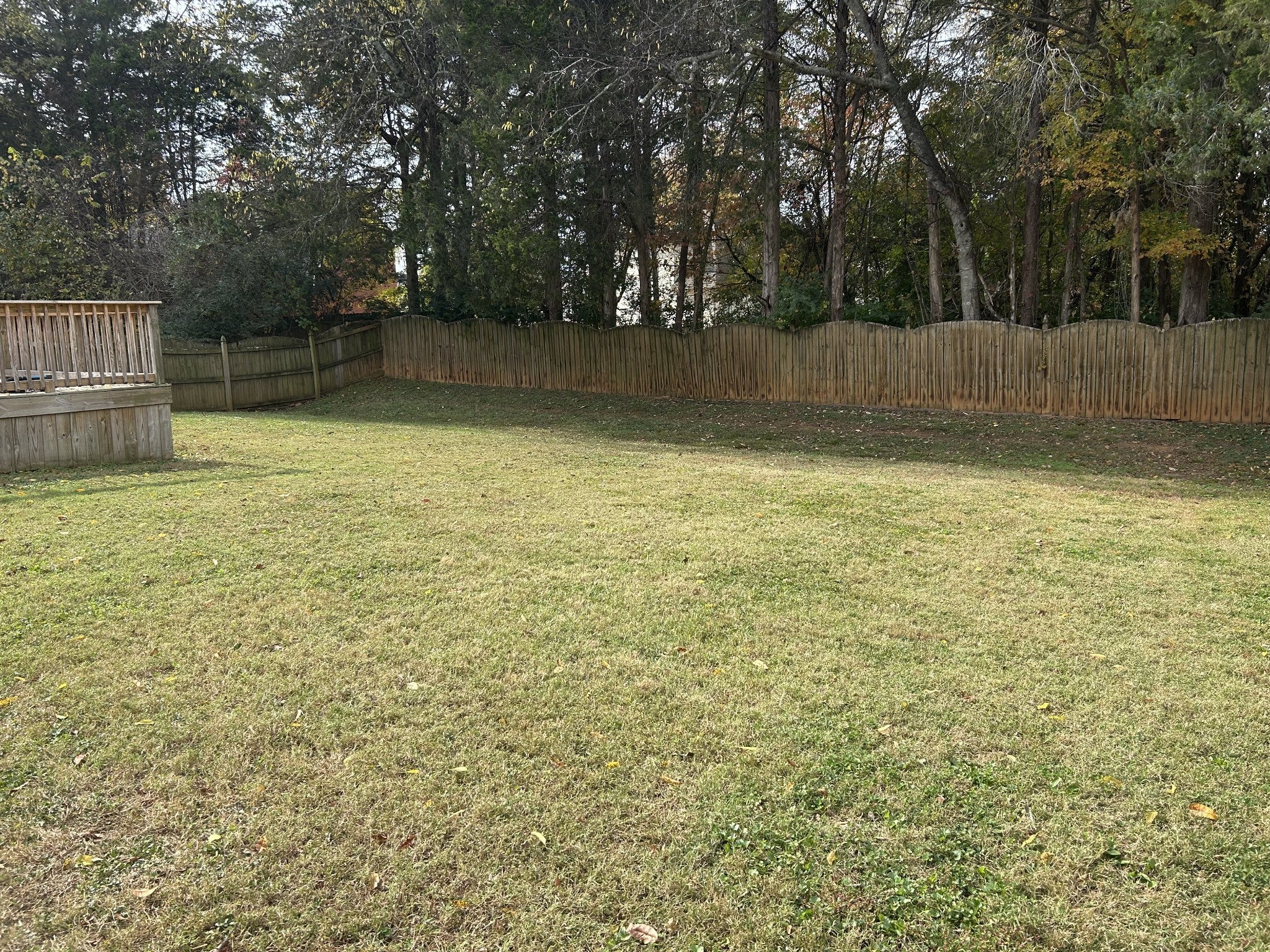 Photo of Listing #3042380