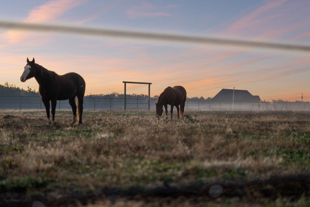 201 Lamb Rd, Rockvale