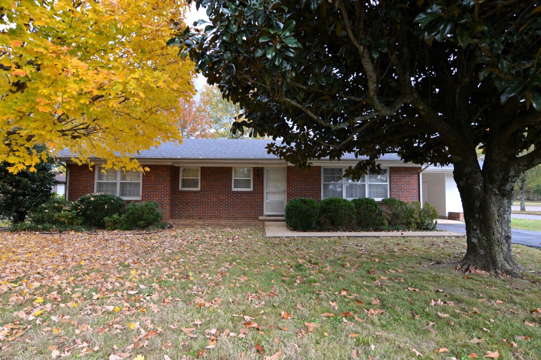 Photo of Listing #3042855