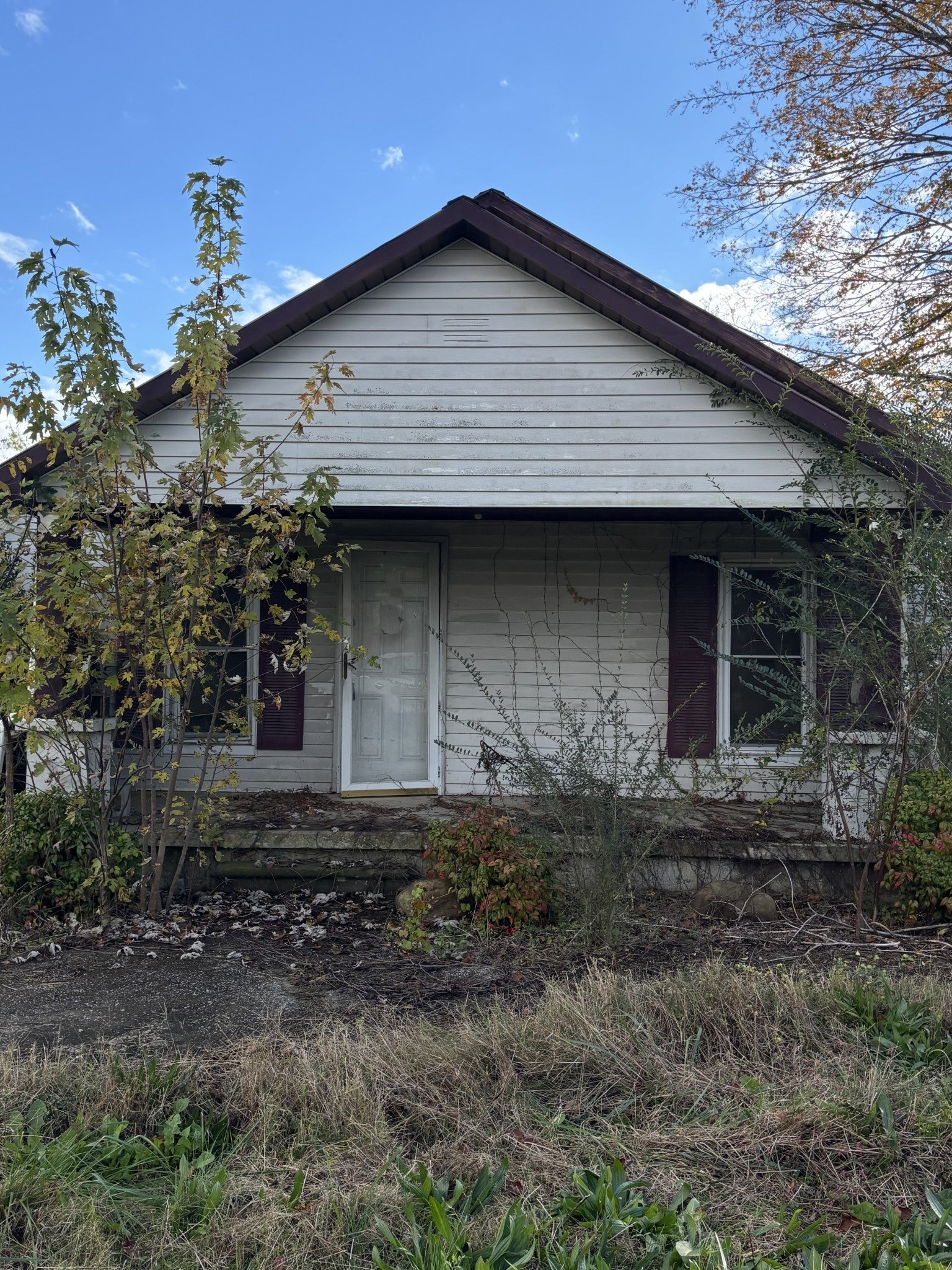 Photo of Listing #3042895