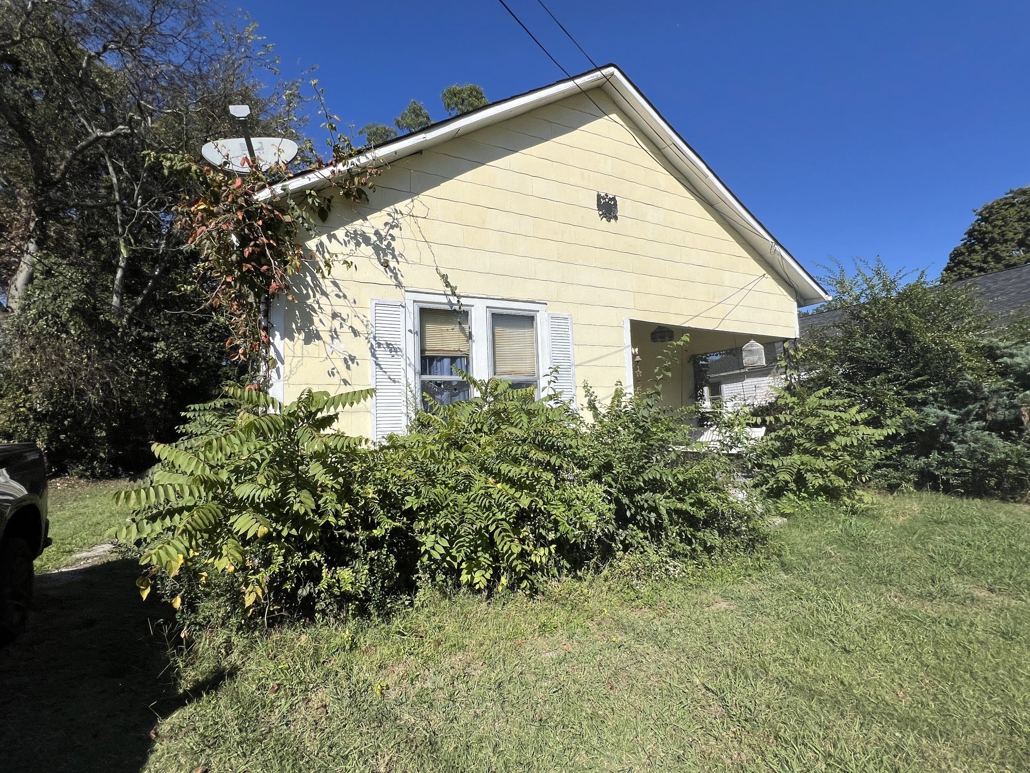 Photo of Listing #3043401