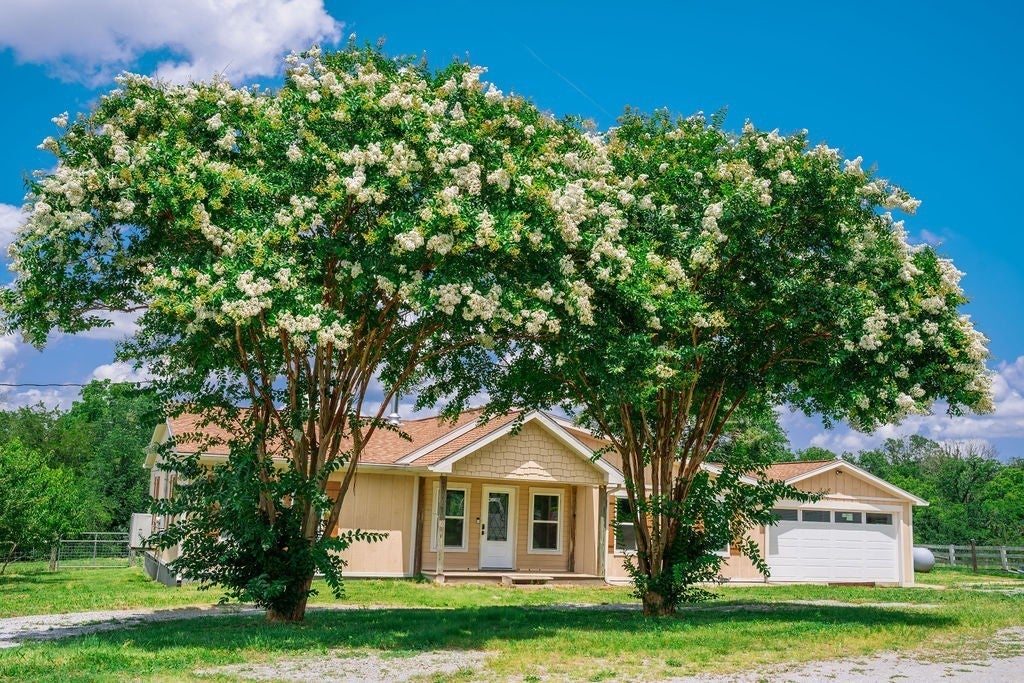 Photo of Listing #3044993