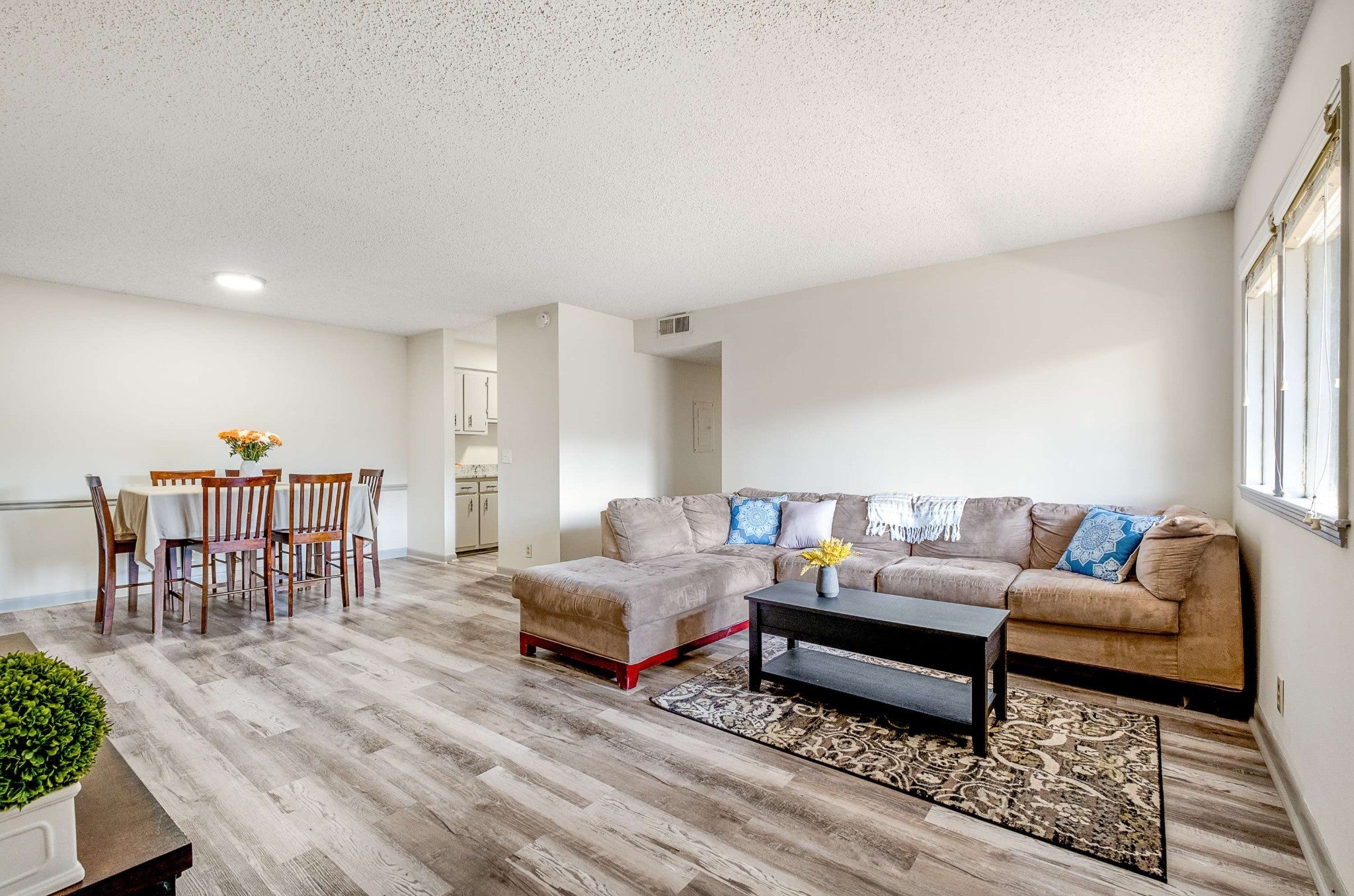 Photo of Listing #3045716